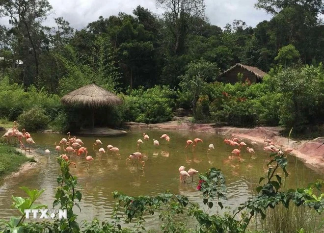Một góc trong Vinpearl Safari Phú Quốc.