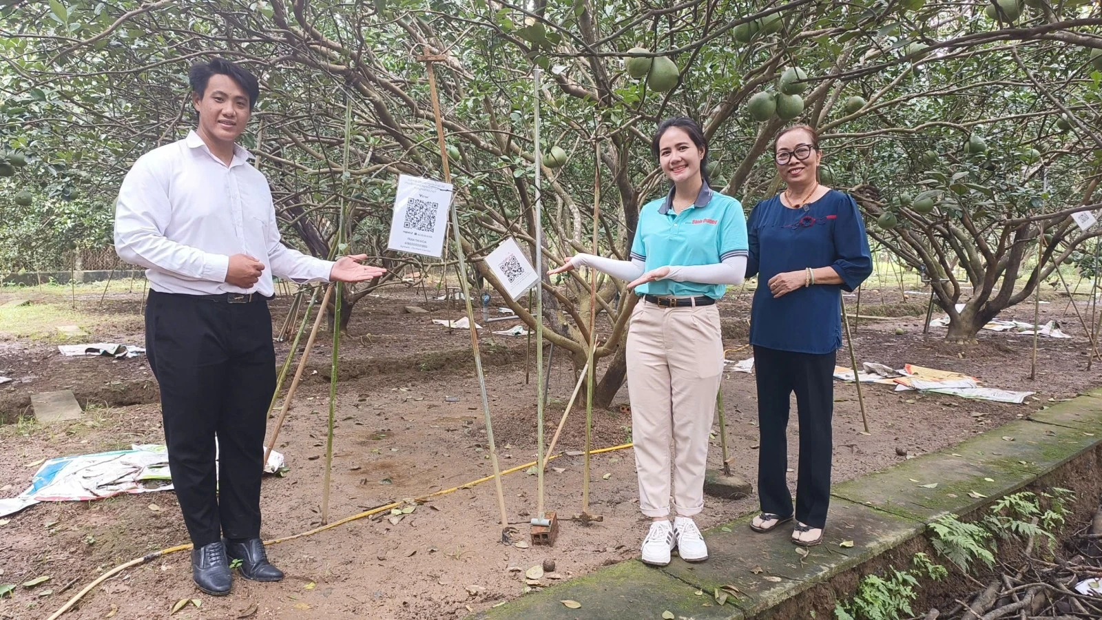 Thành viên Tổ công nghệ số xã Bạch Đằng giới thiệu với ê-kíp thực hiện chương trình Tôi yêu Bình Dương mô hình “Vườn bưởi công nghệ số”.