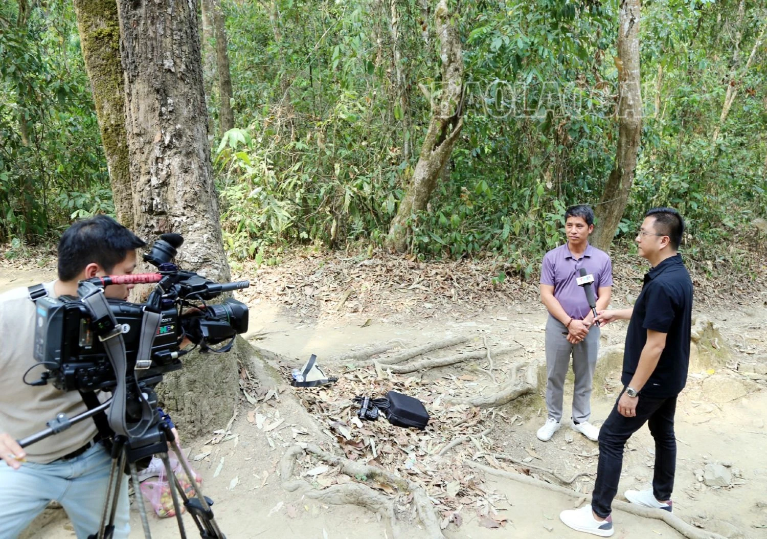 11.JPG