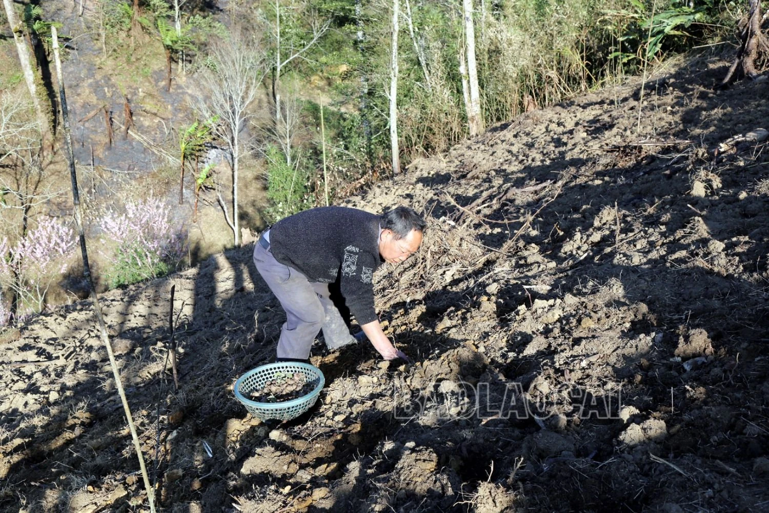 8.JPG