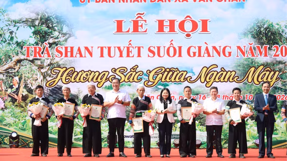 Khai mạc Lễ hội Trà Shan tuyết Suối Giàng 2026