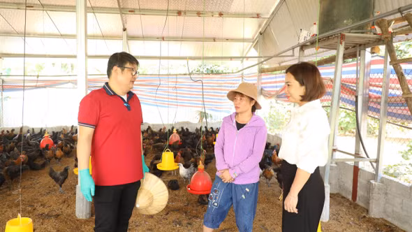 Siết chặt quản lý dịch bệnh trong chăn nuôi