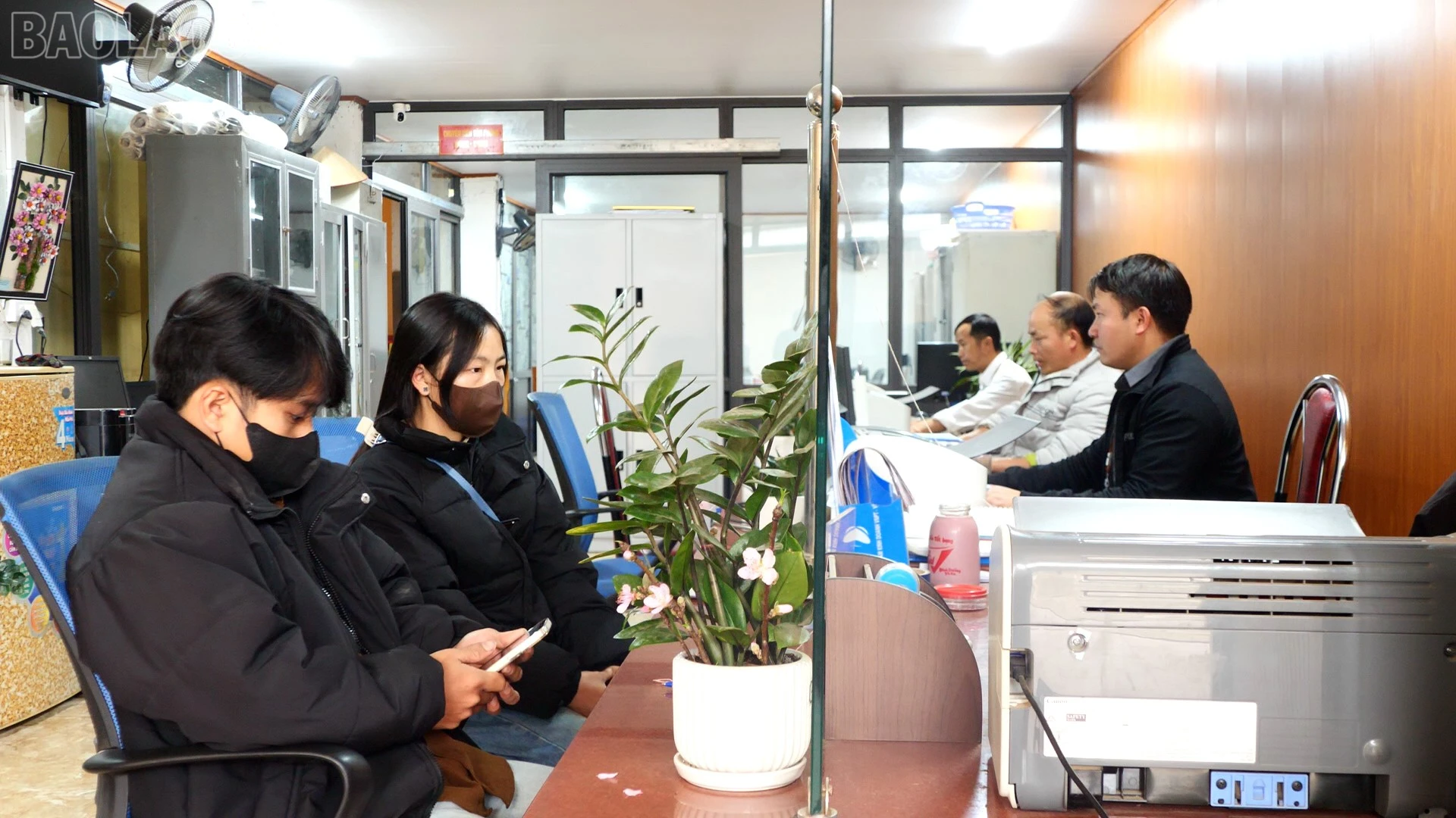 baolaocai-tl_a12.jpg