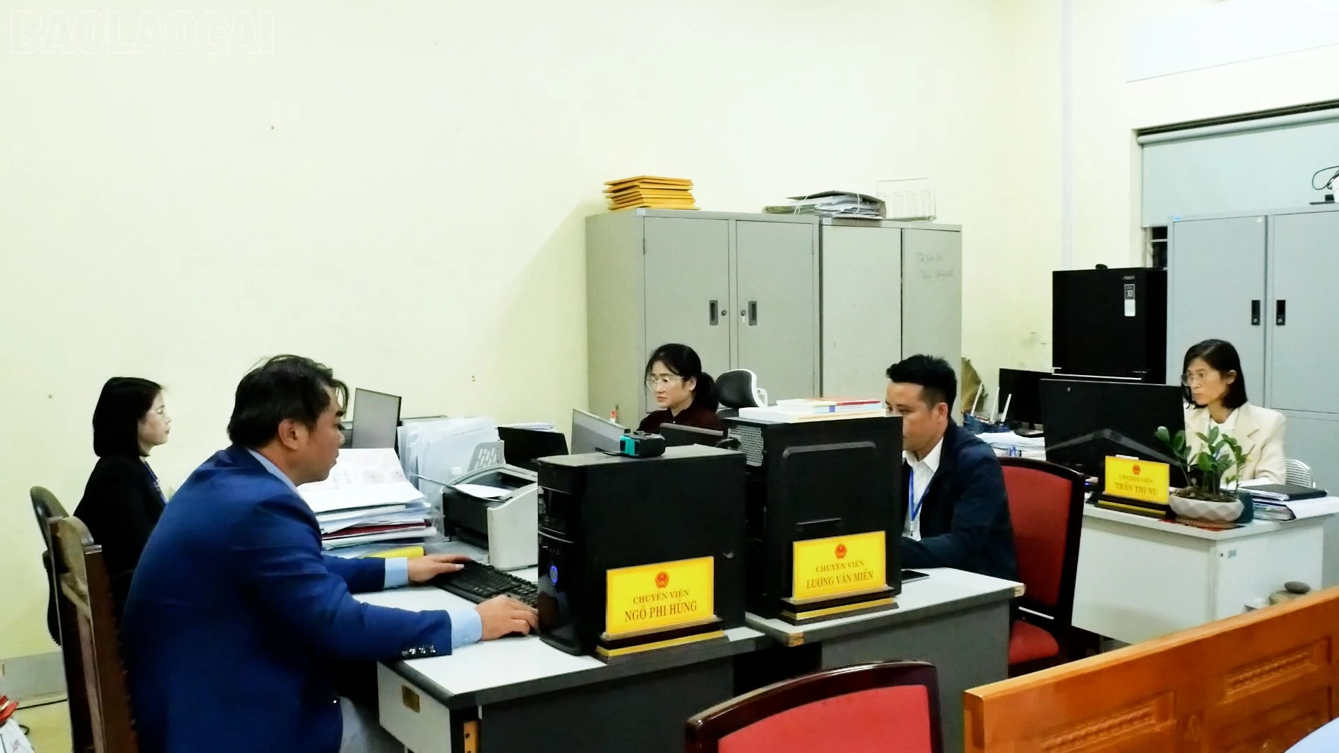 baolaocai-tl_a5.jpg