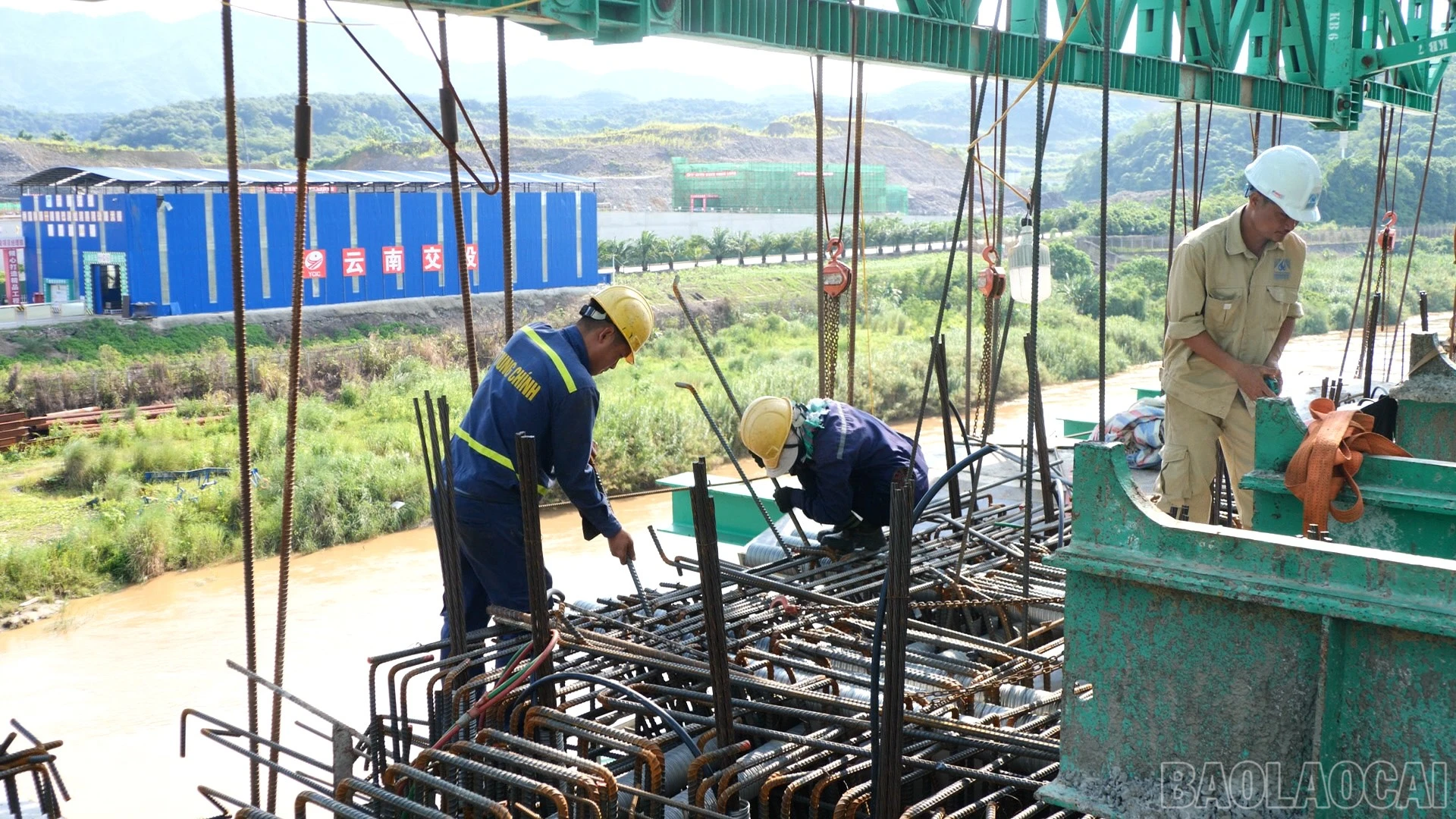 baolaocai-br_n13.jpg