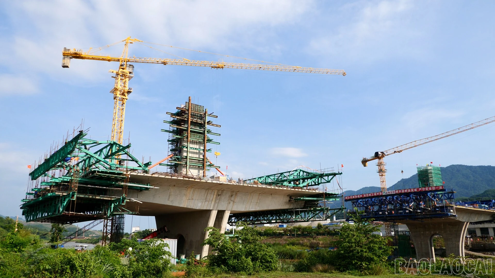 baolaocai-br_n10.jpg