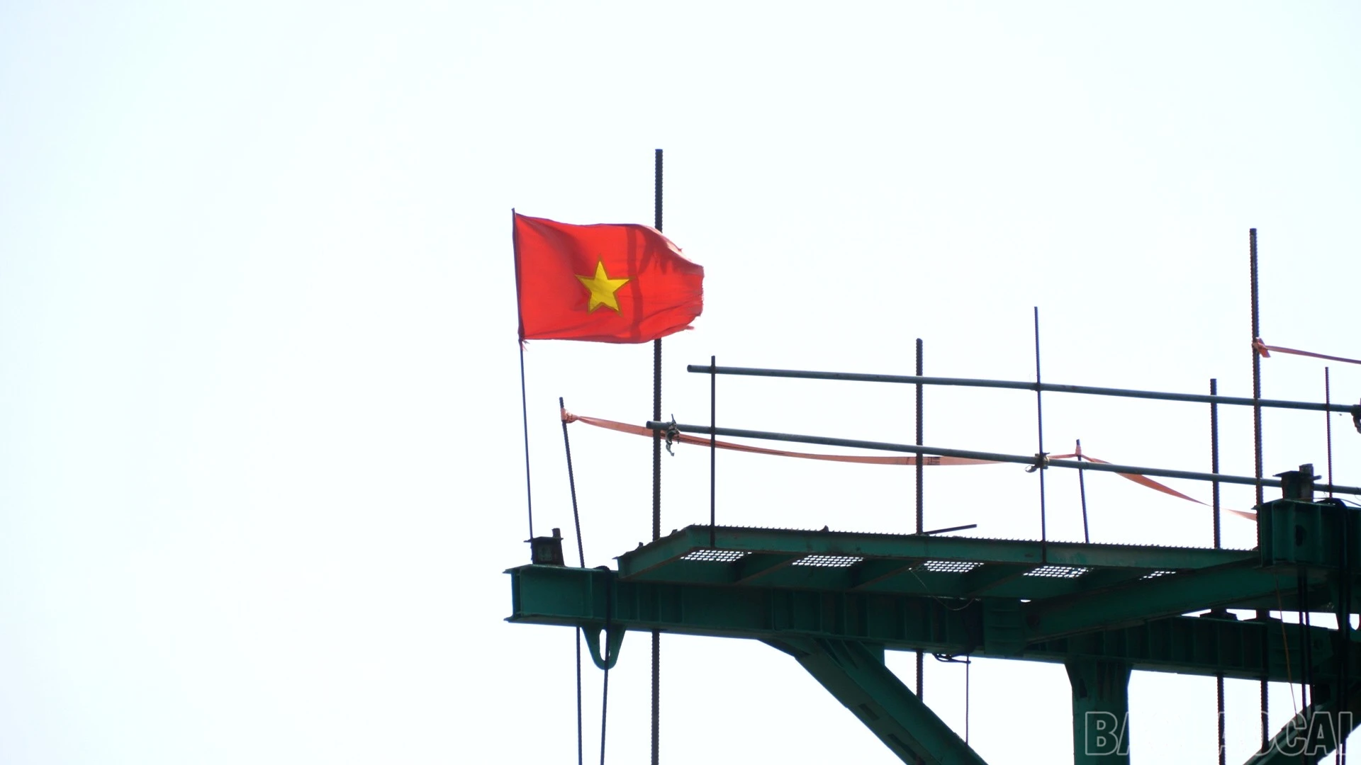 baolaocai-br_n6.jpg
