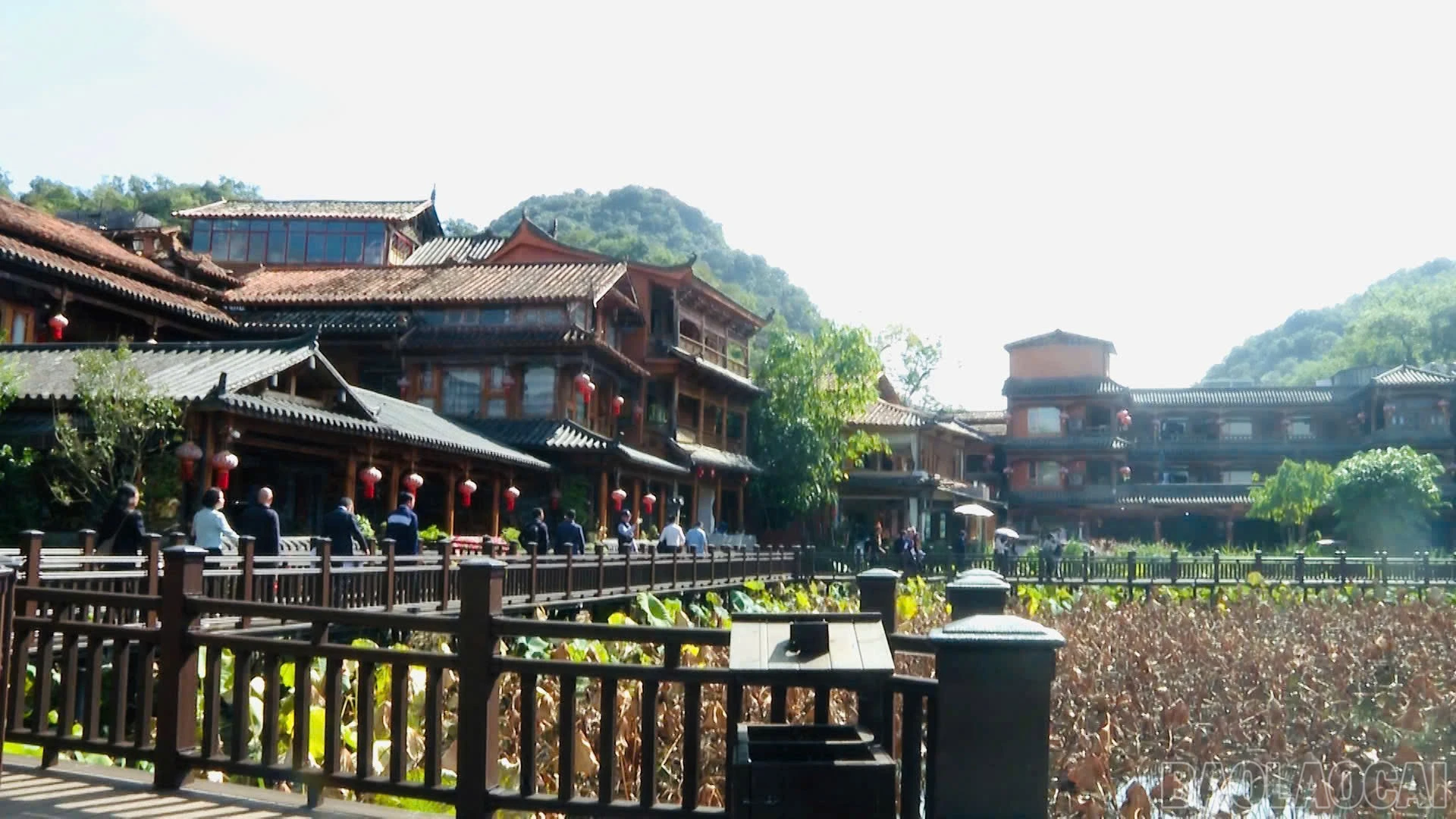 baolaocai-br_a5.jpg