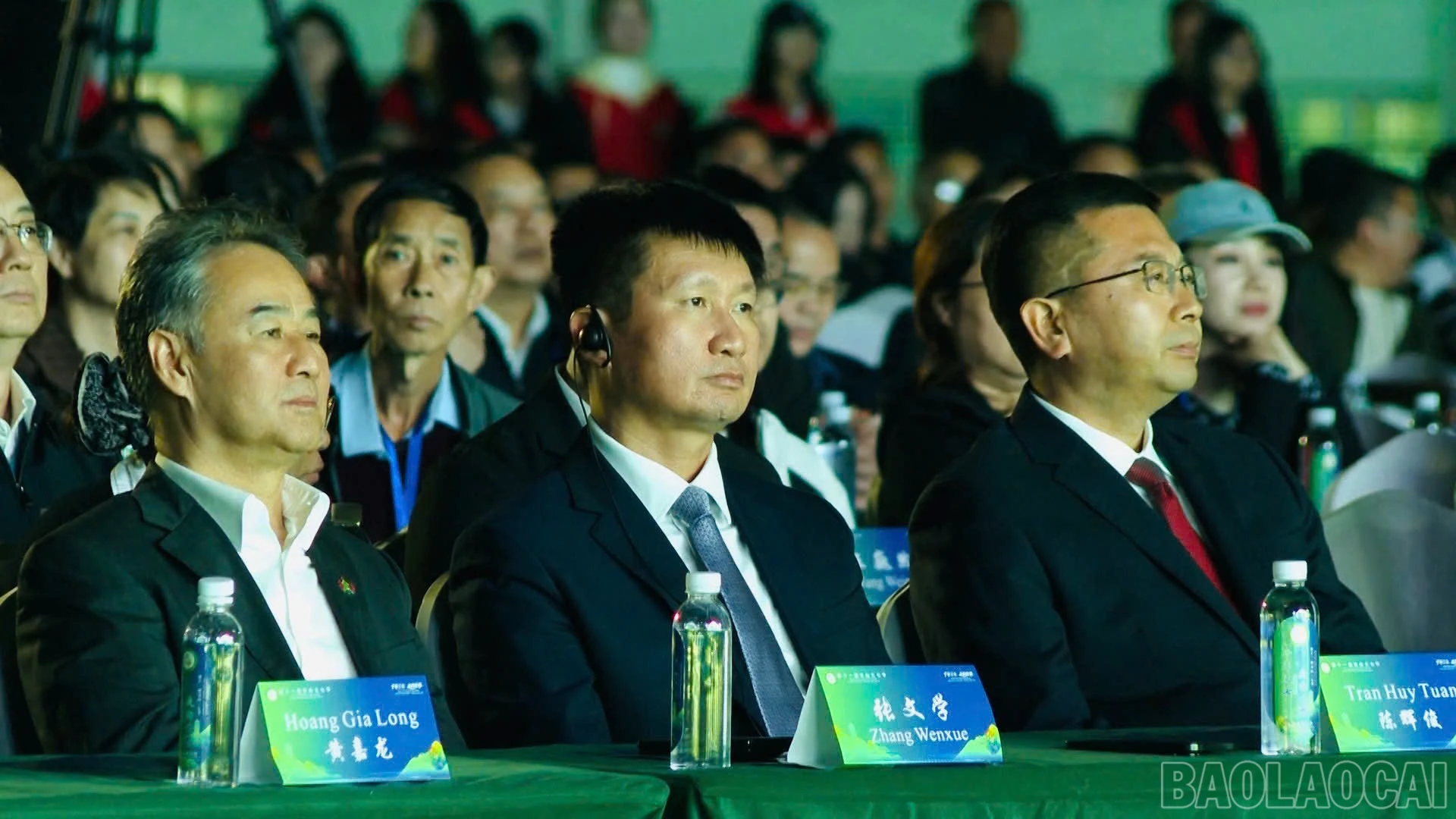 baolaocai-br_a11.jpg