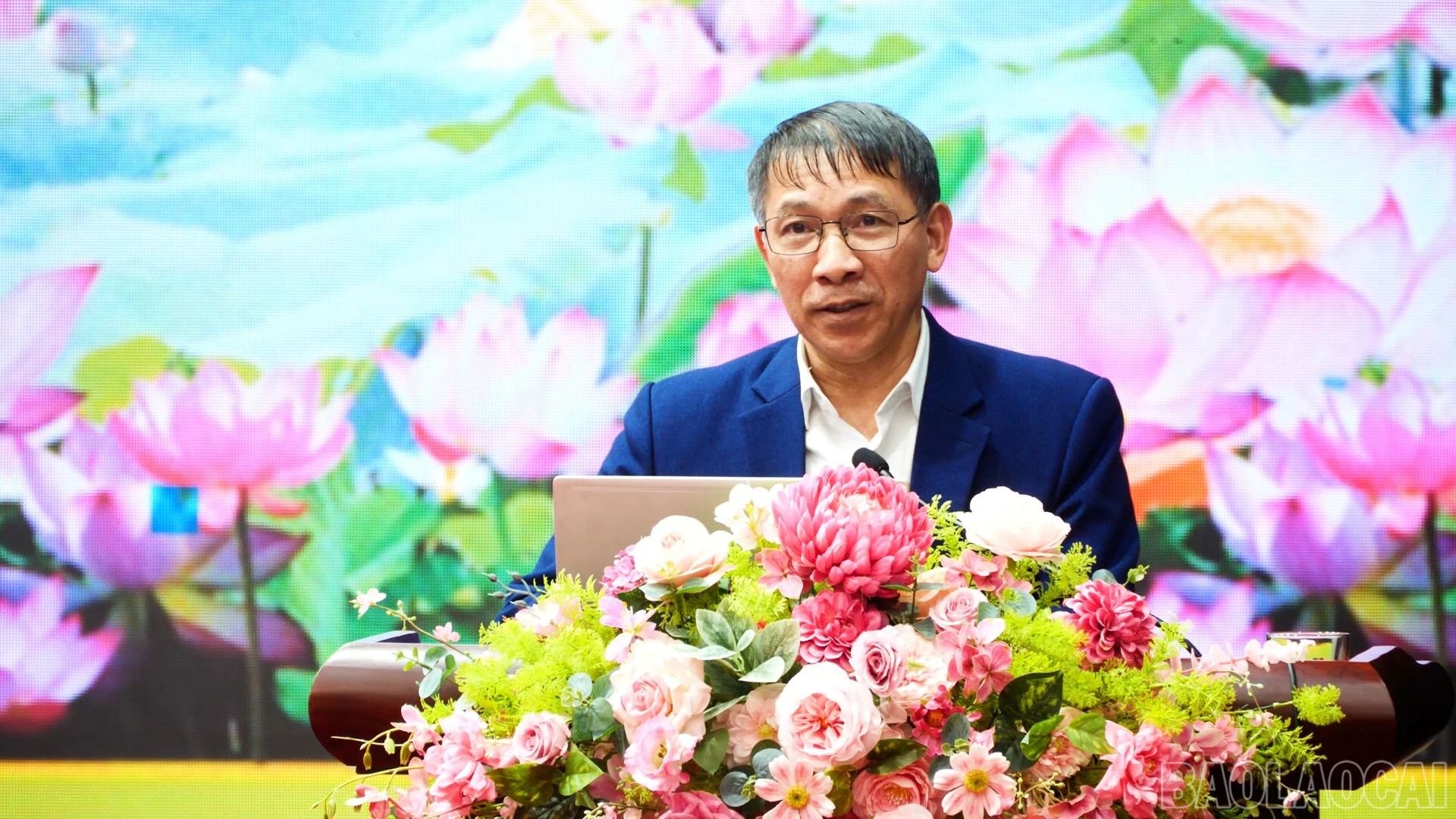 baolaocai-br_a5-3548.jpg