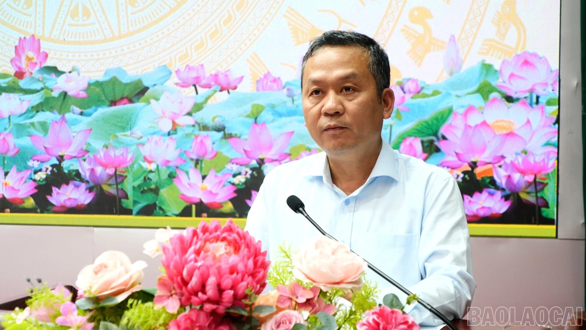 baolaocai-br_a4-9654.jpg