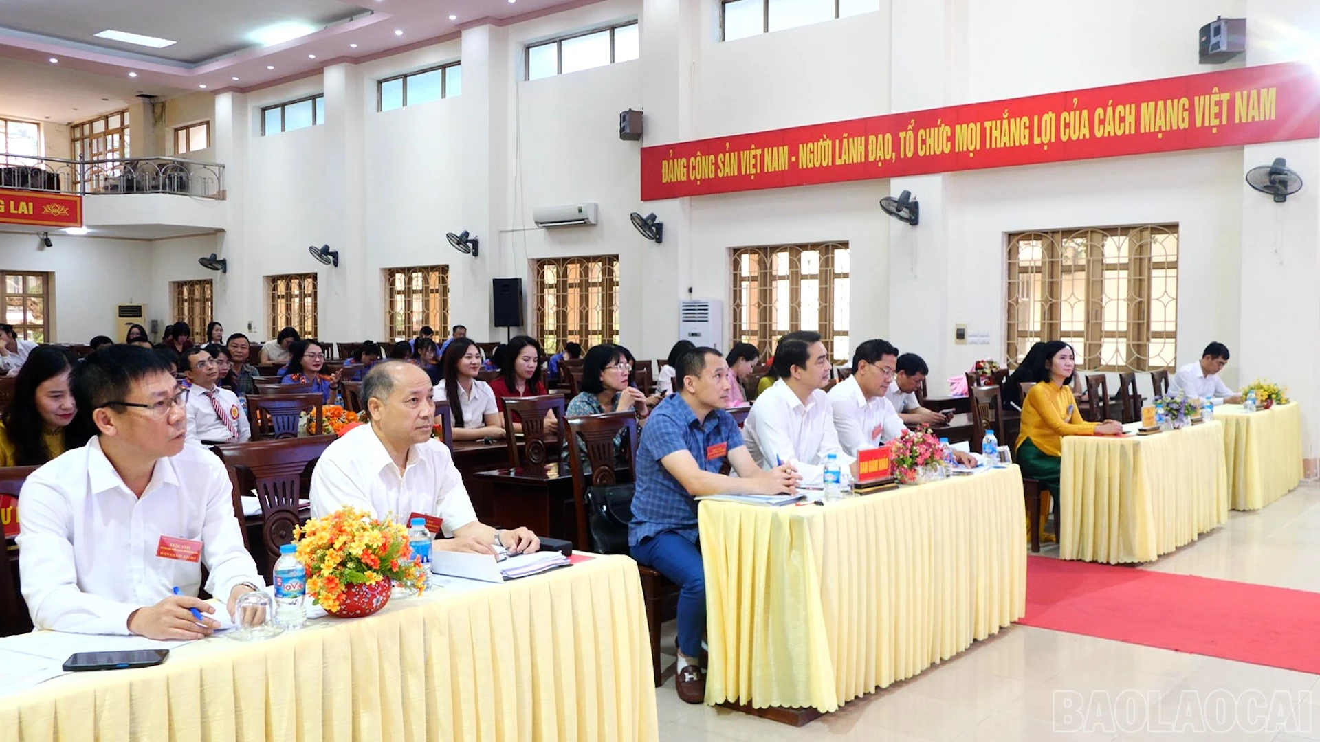 baolaocai-br_d4.jpg