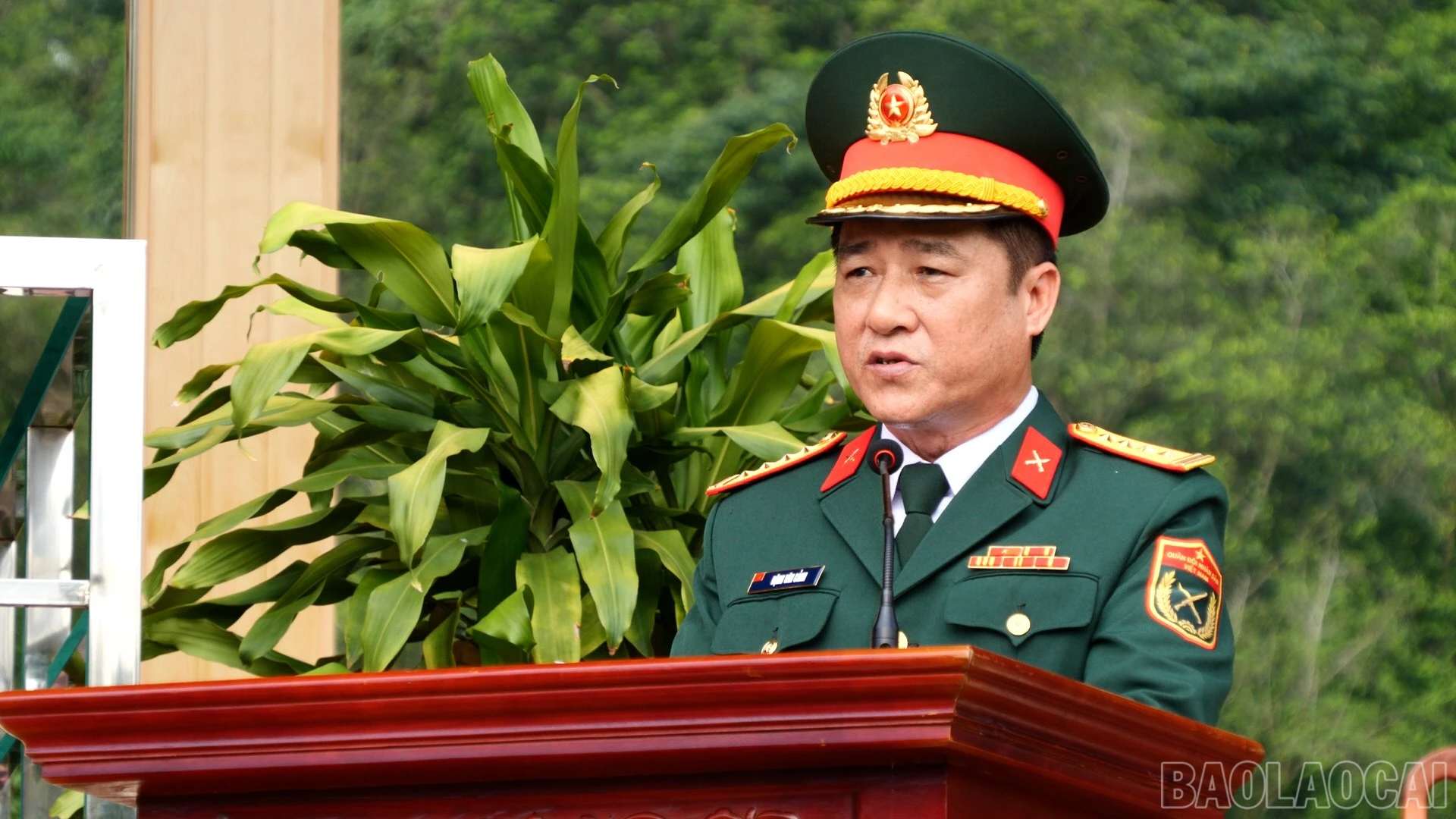 baolaocai-br_g11.jpg