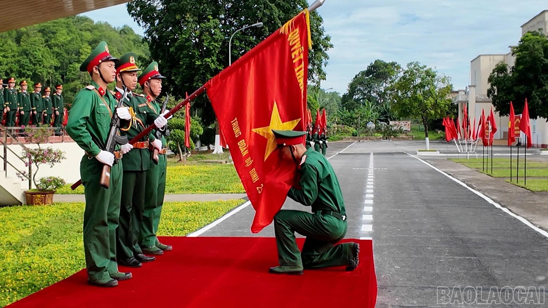 baolaocai-br_g2.jpg
