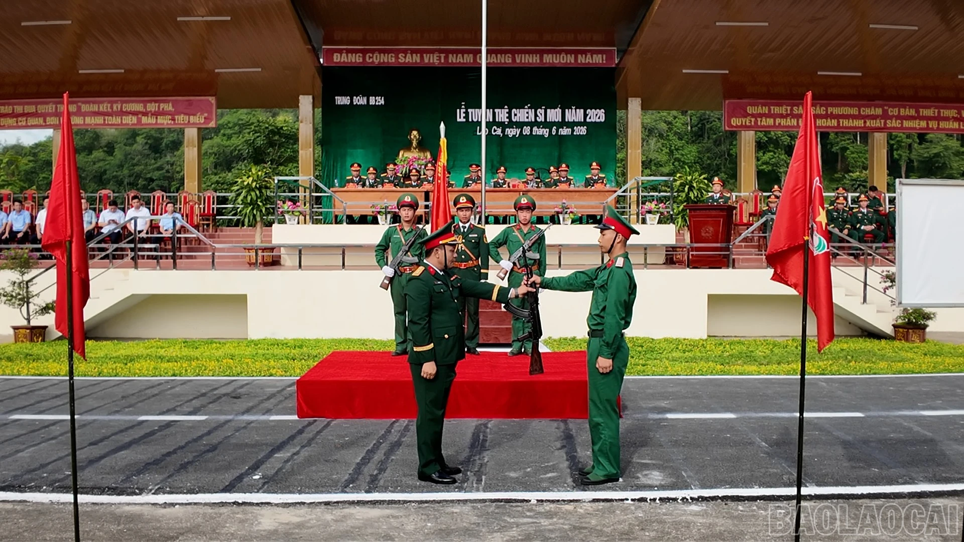 baolaocai-br_g14.jpg