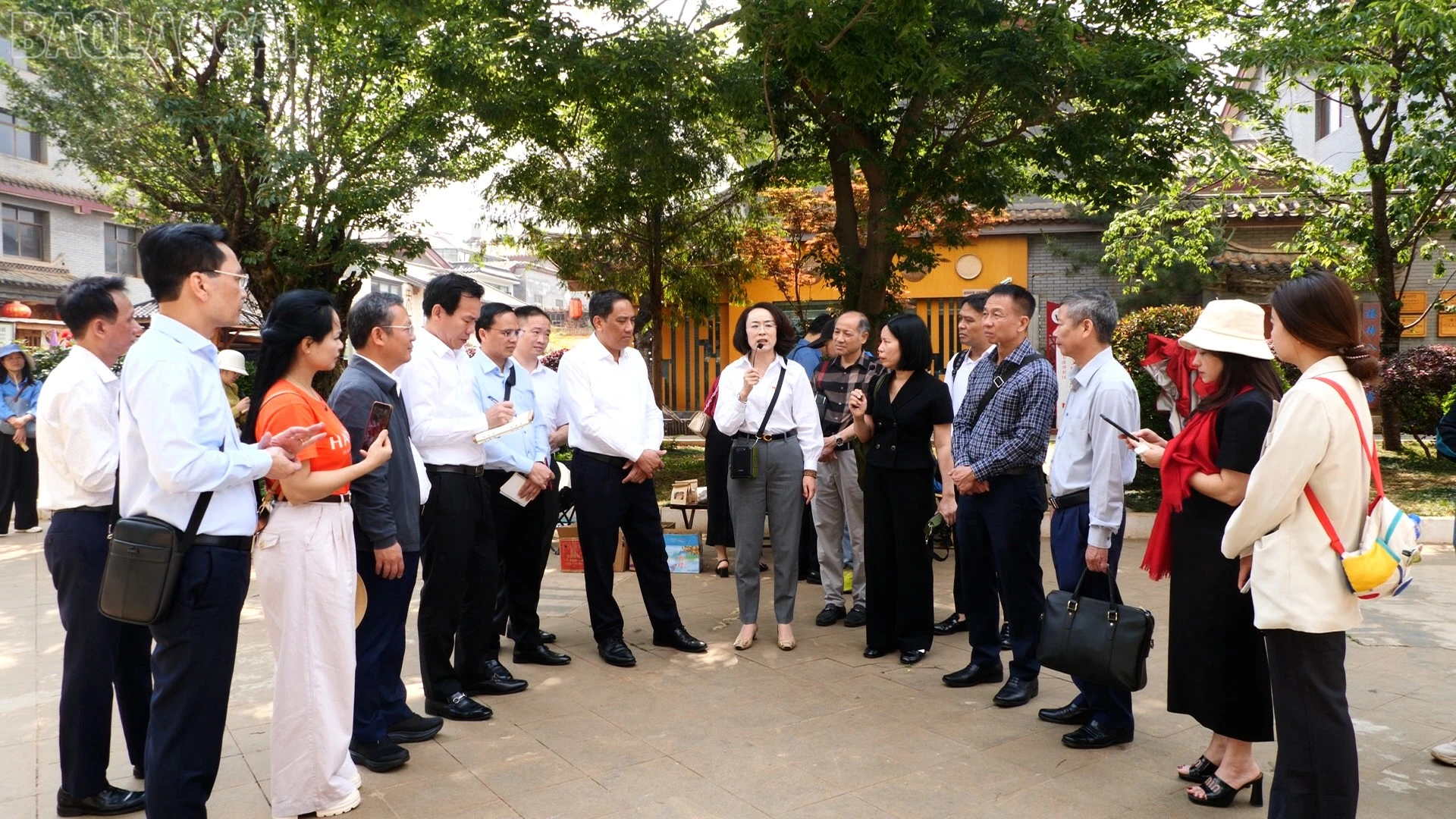 baolaocai-tl_q12.jpg