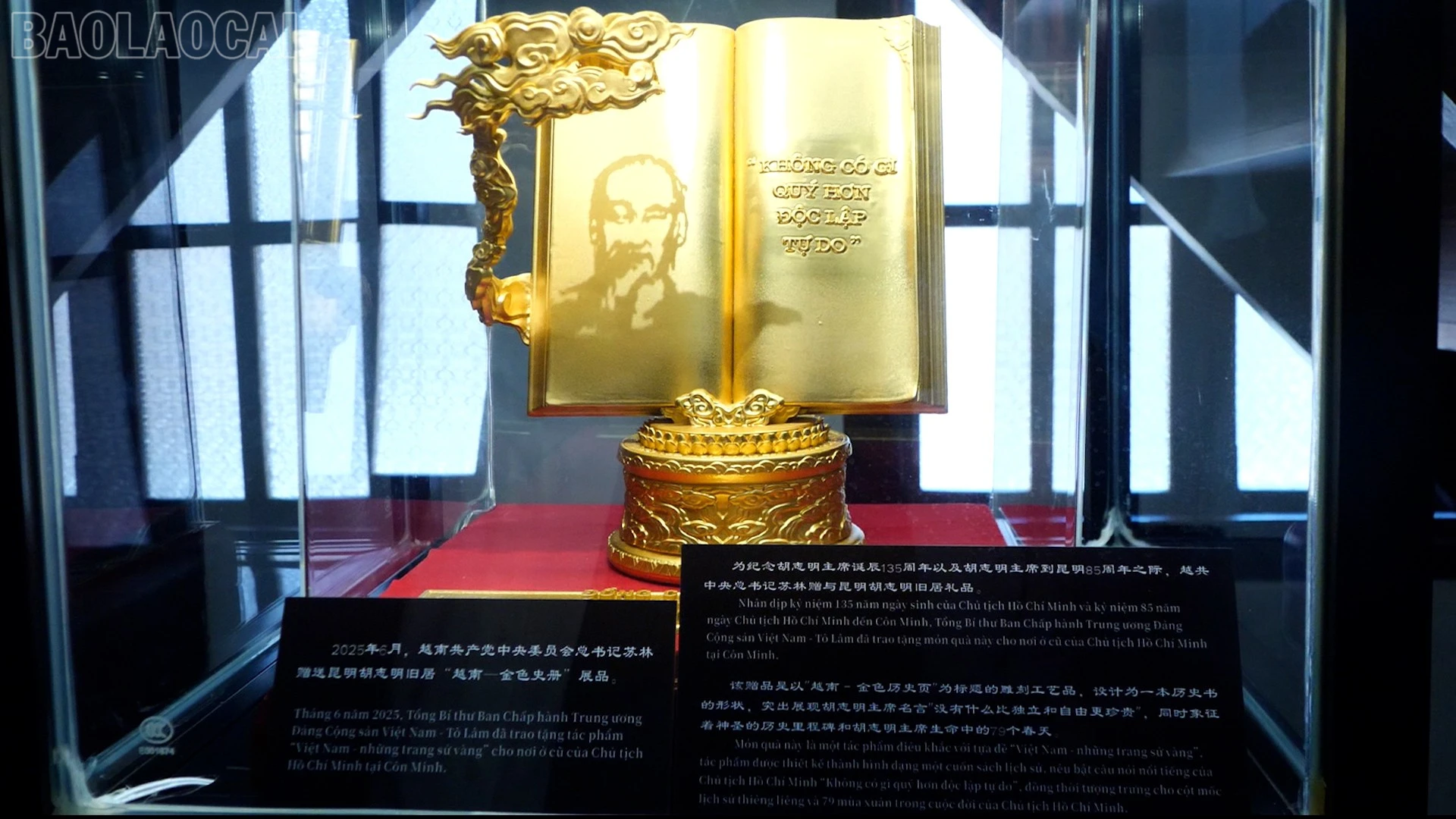 baolaocai-tl_z8.jpg