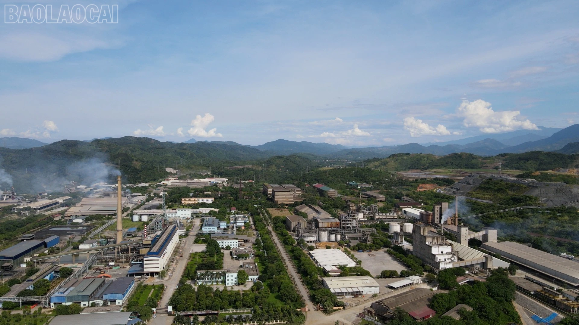 baolaocai-tl_a12.jpg