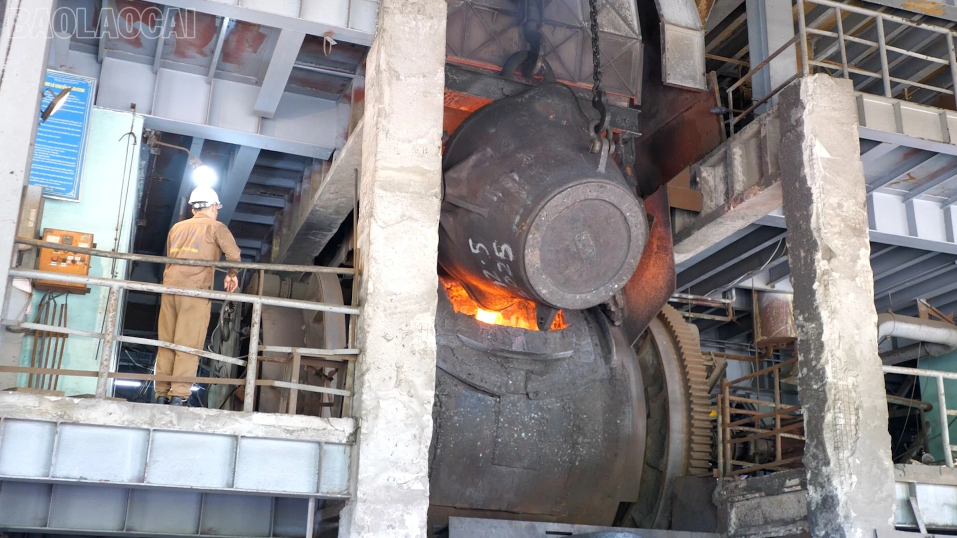 baolaocai-tl_a2.jpg