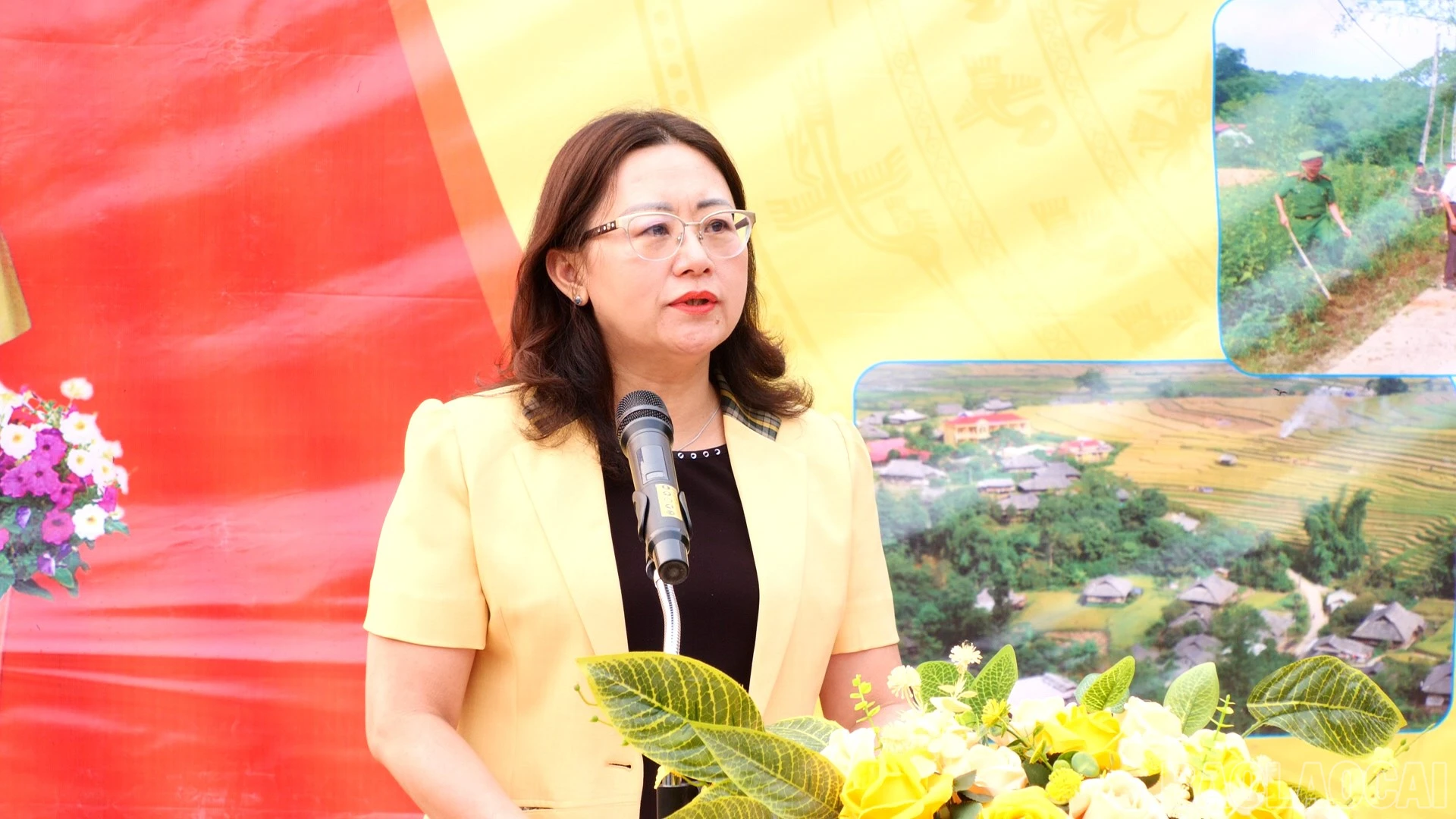 baolaocai-br_a8.jpg