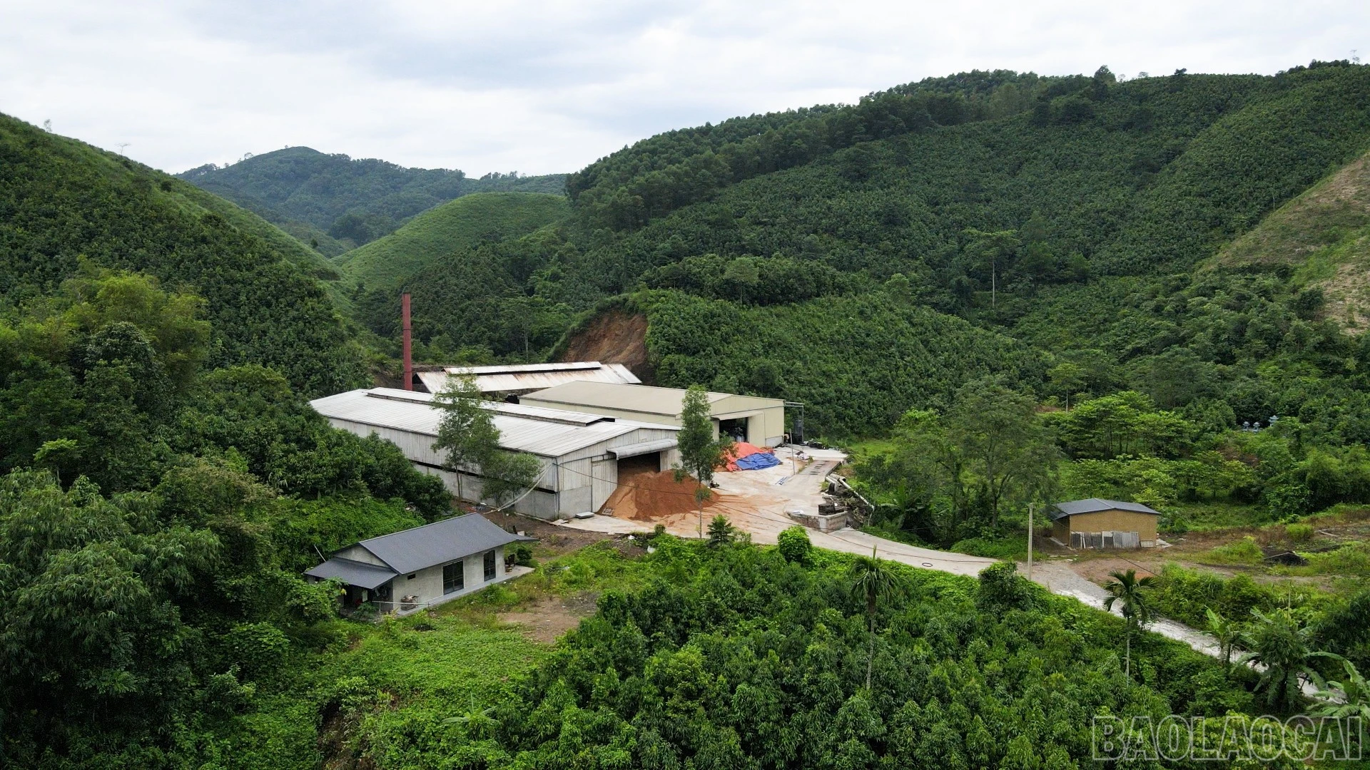 baolaocai-br_v14.jpg