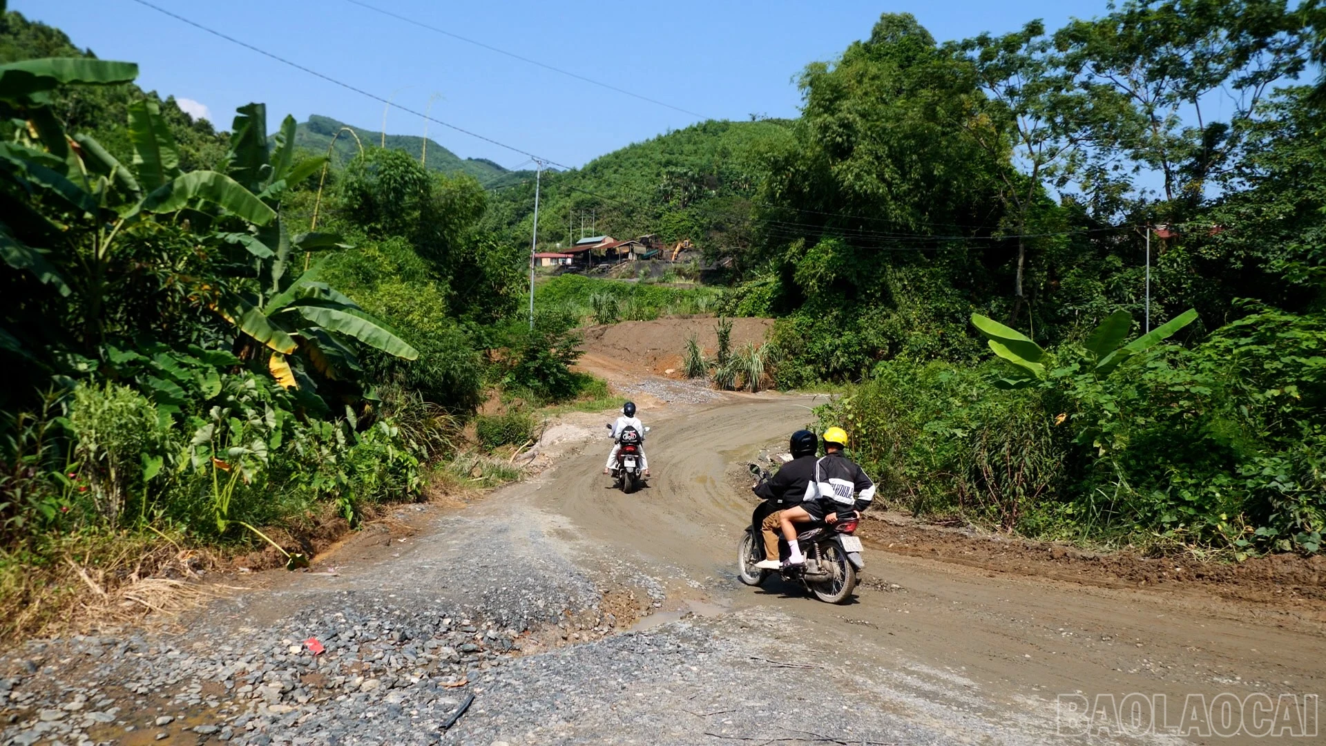 baolaocai-br_h10.jpg