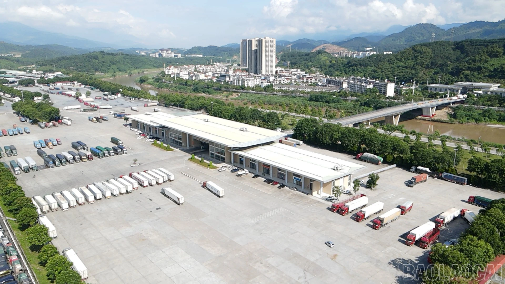 baolaocai-br_q22.jpg