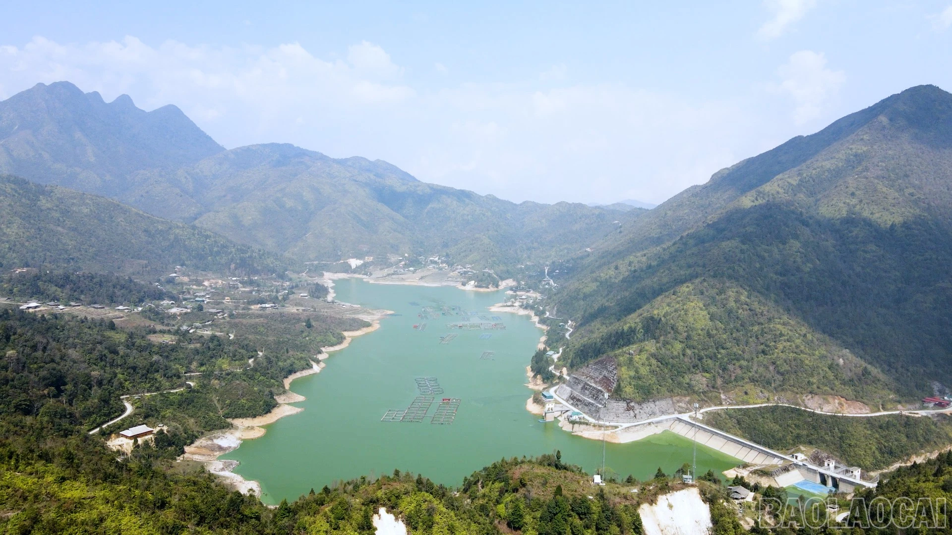 baolaocai-br_z16.jpg