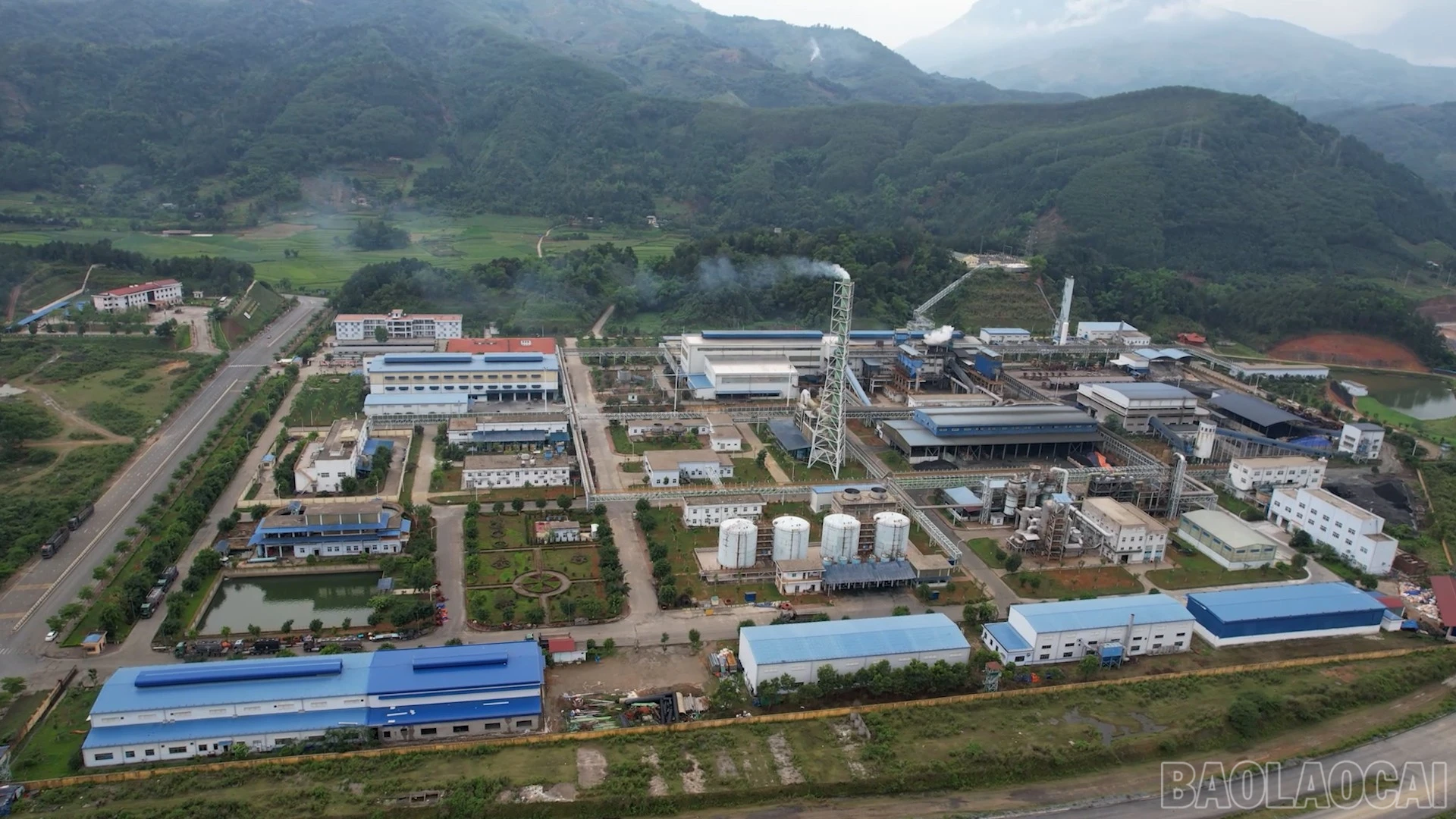 baolaocai-br_d13.jpg