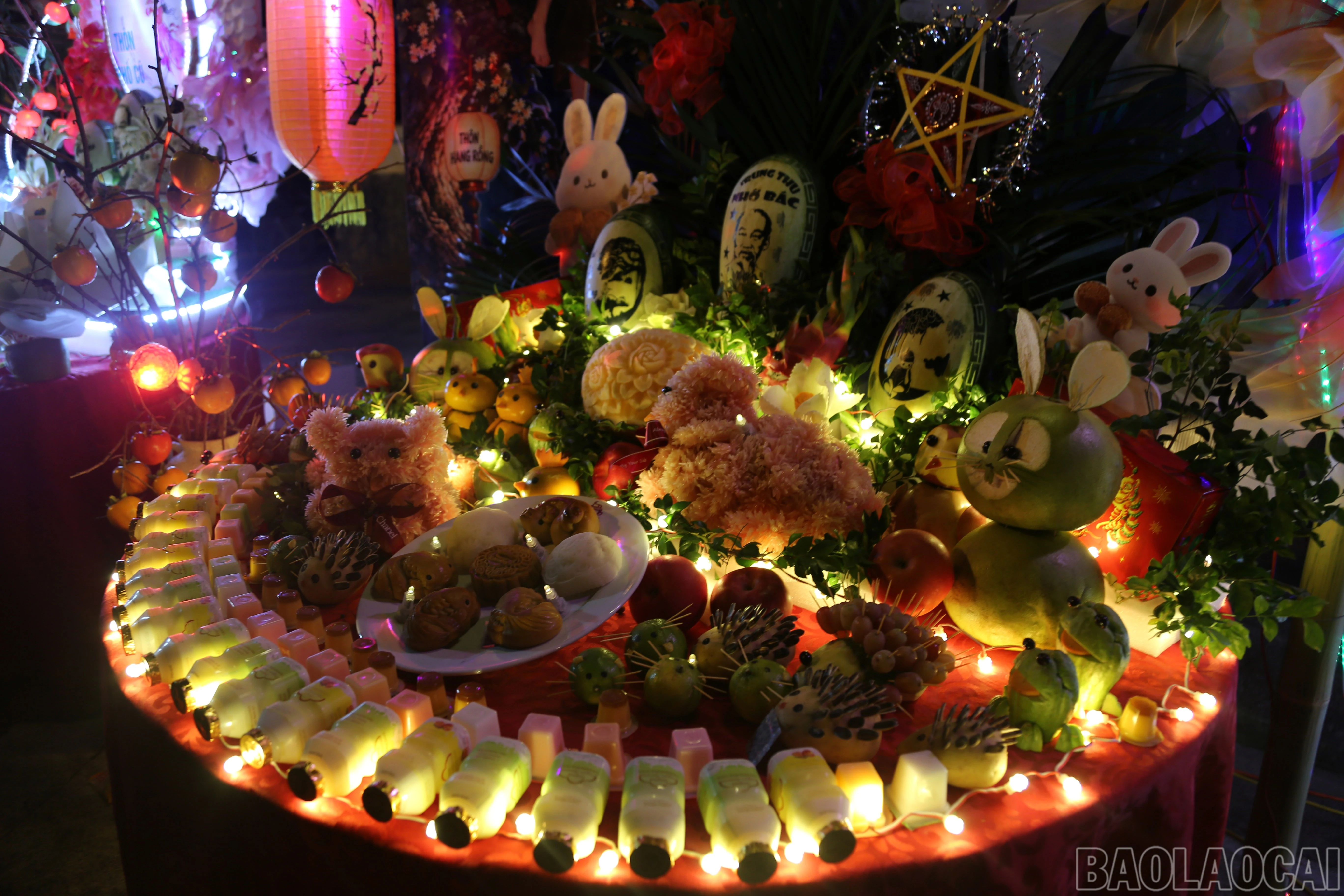 baolaocai-br_a-11.jpg