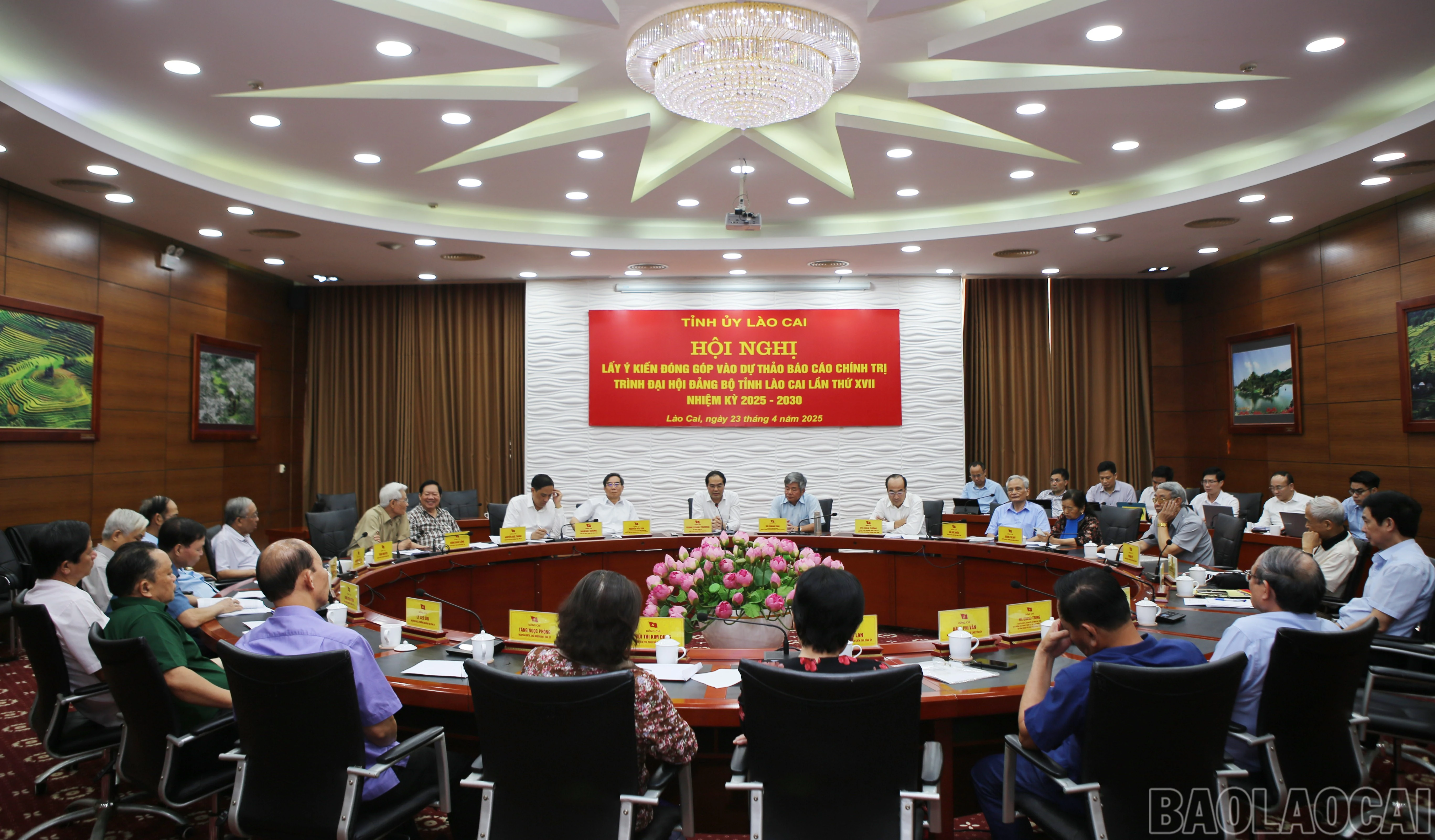 baolaocai-br_y-1.jpg