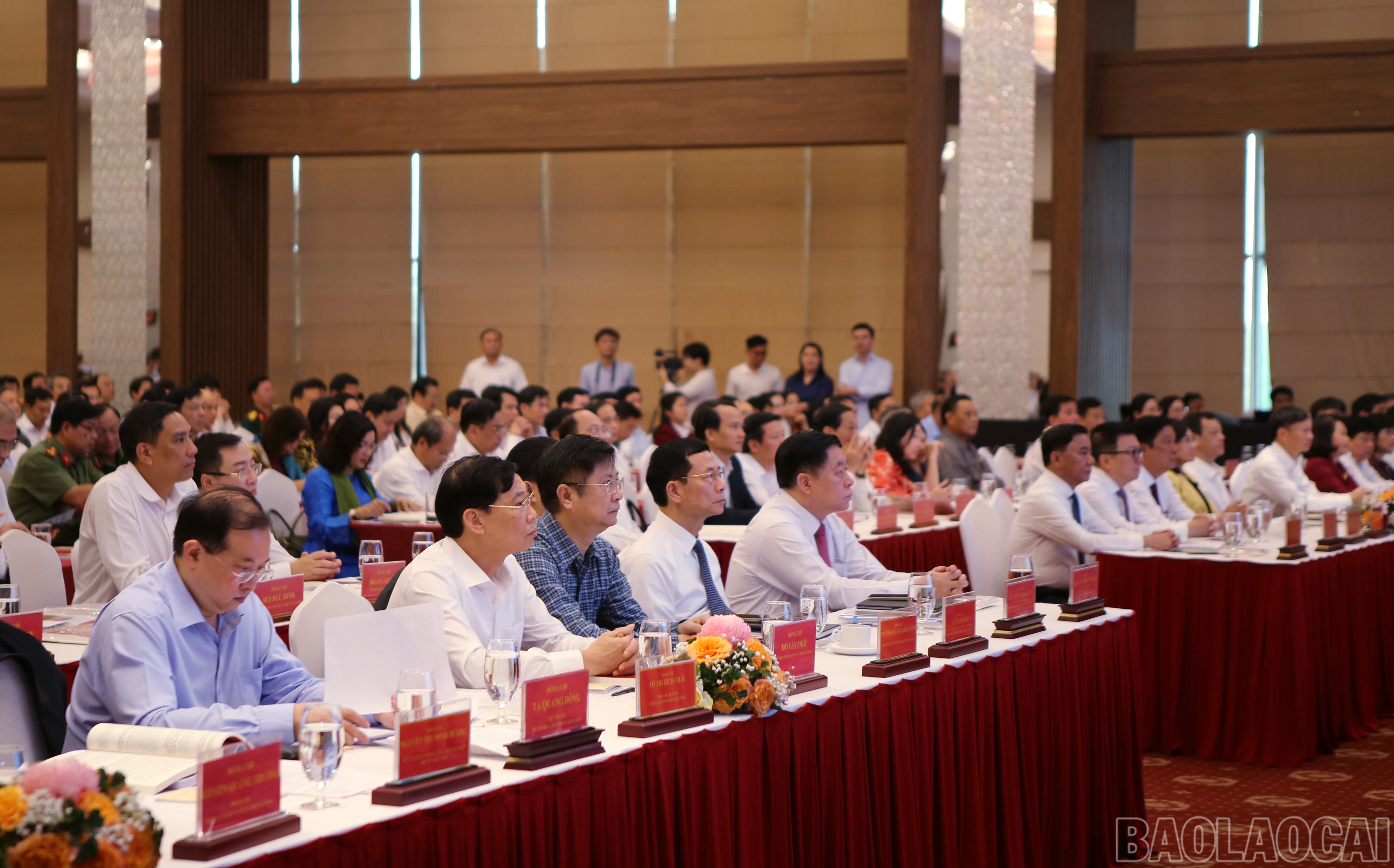 baolaocai-br_btg-2.jpg