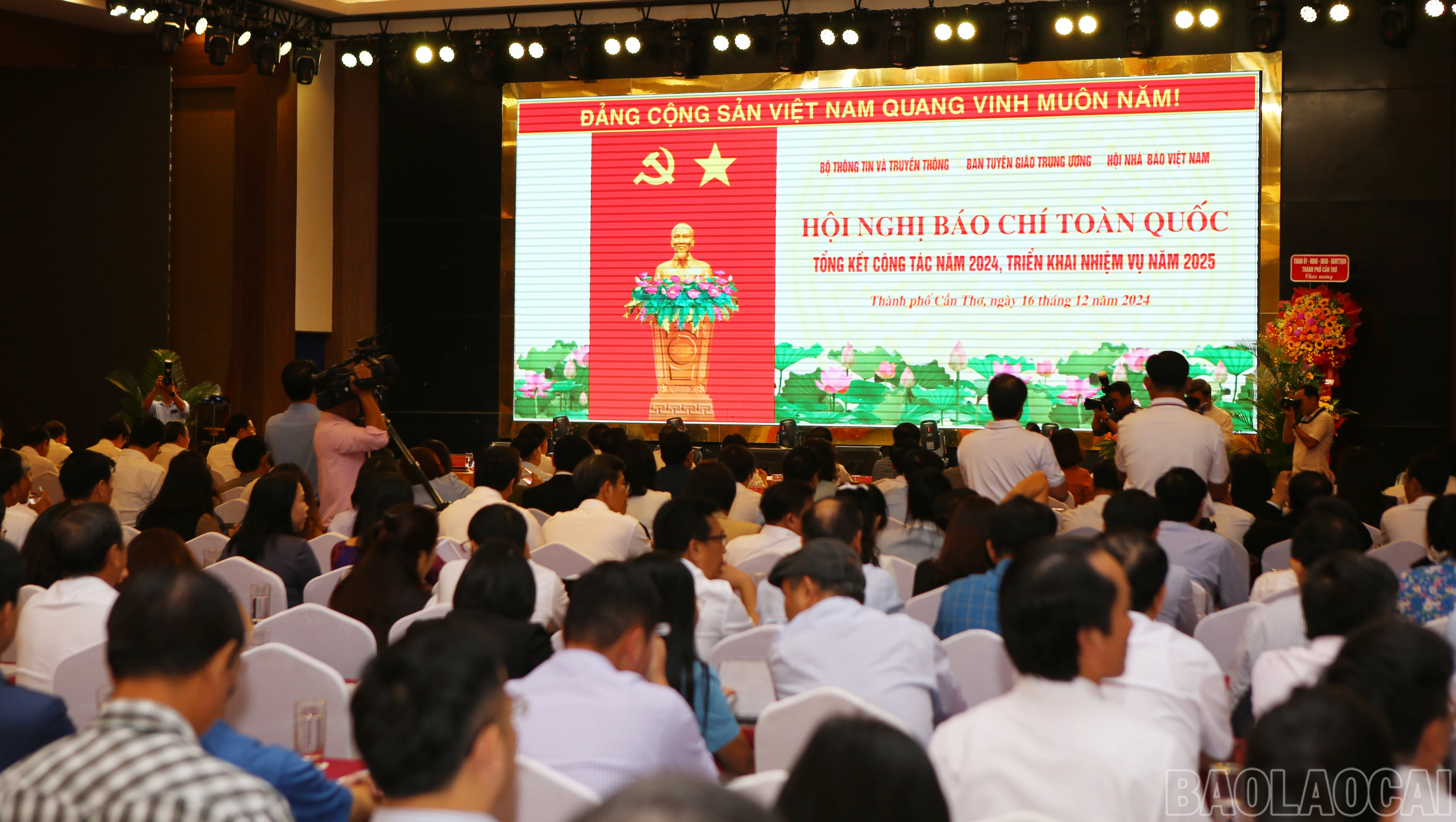 baolaocai-br_bs-1.jpg
