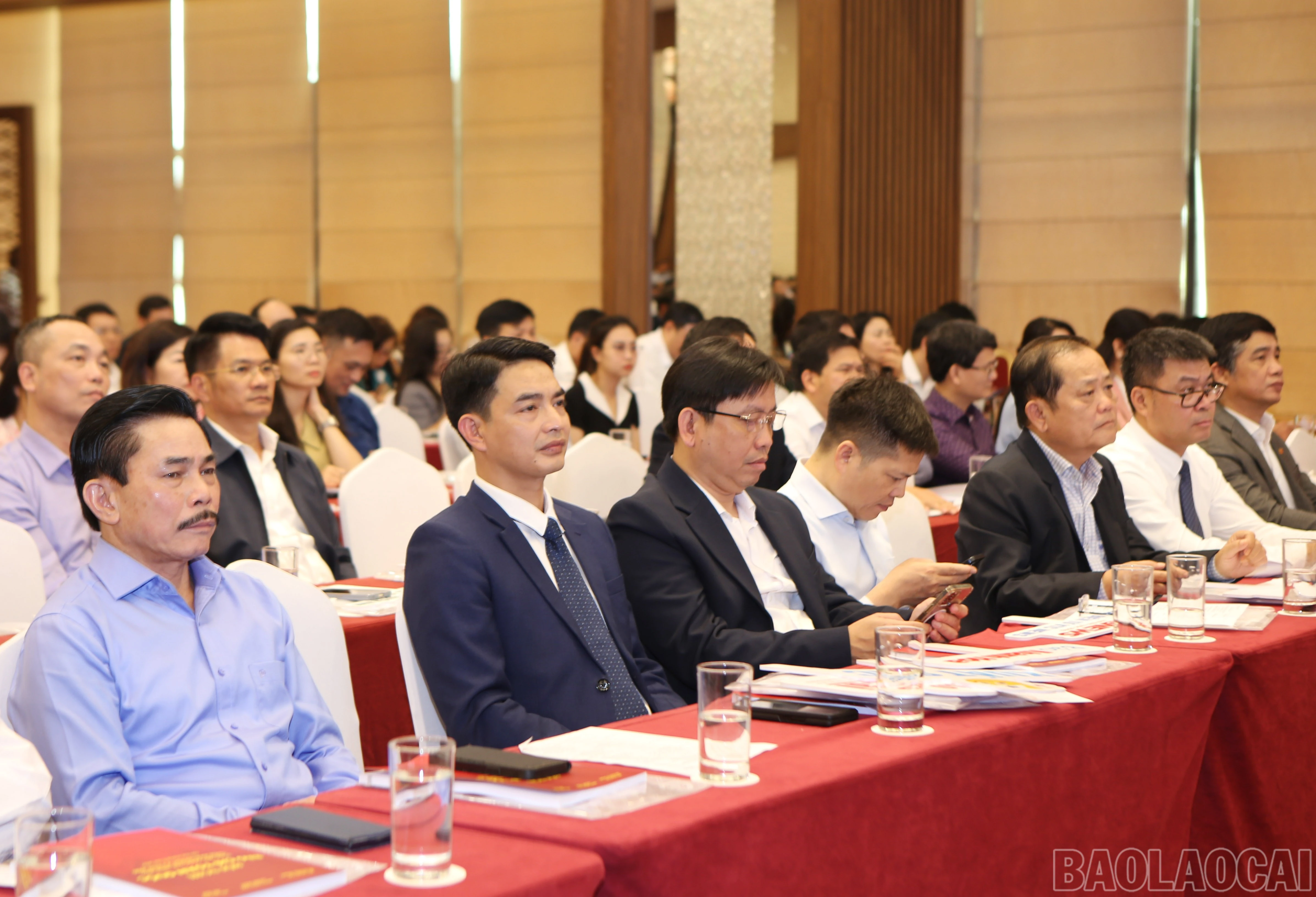 baolaocai-br_bs-4.jpg