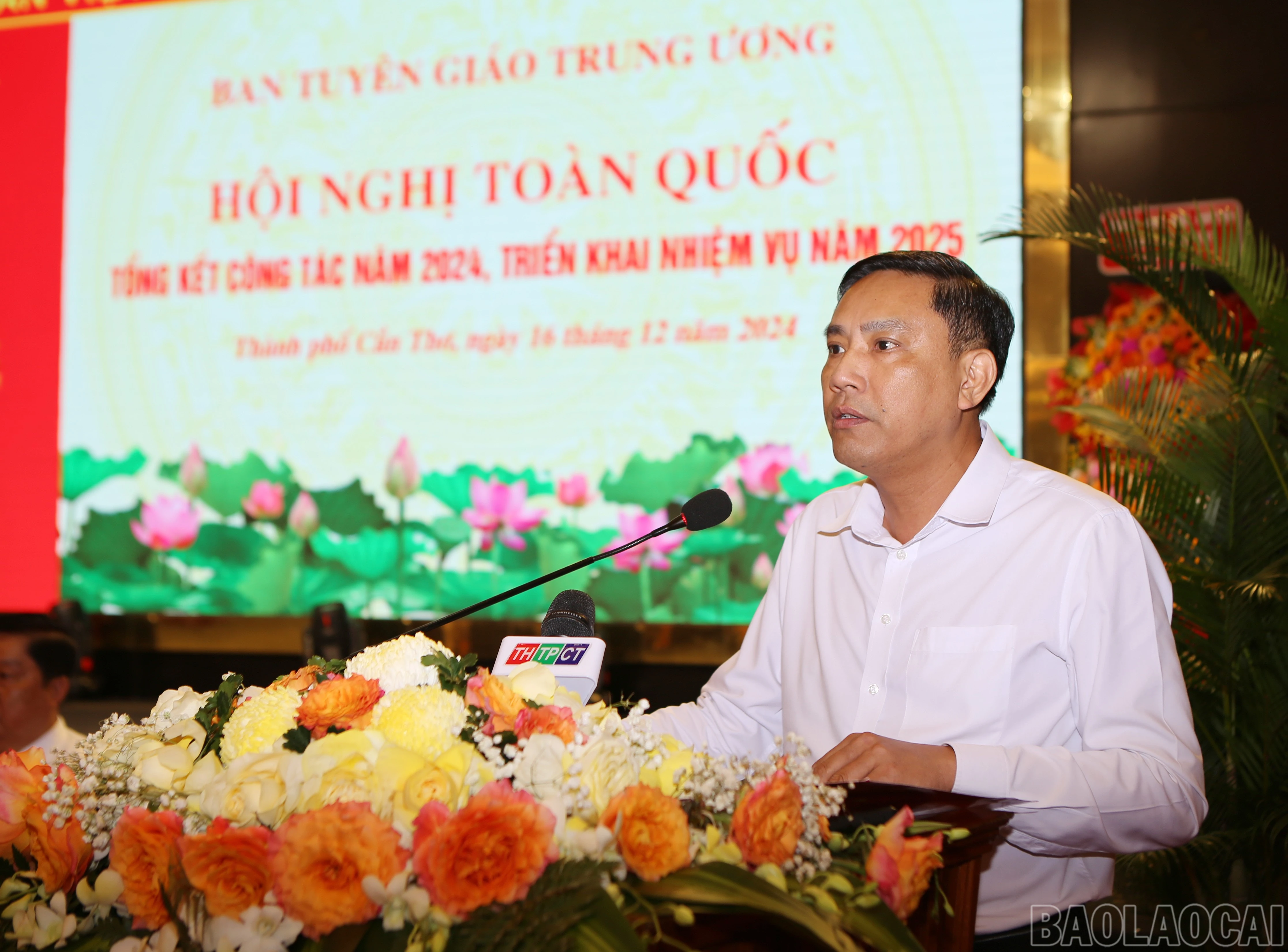 baolaocai-br_btg-6.jpg