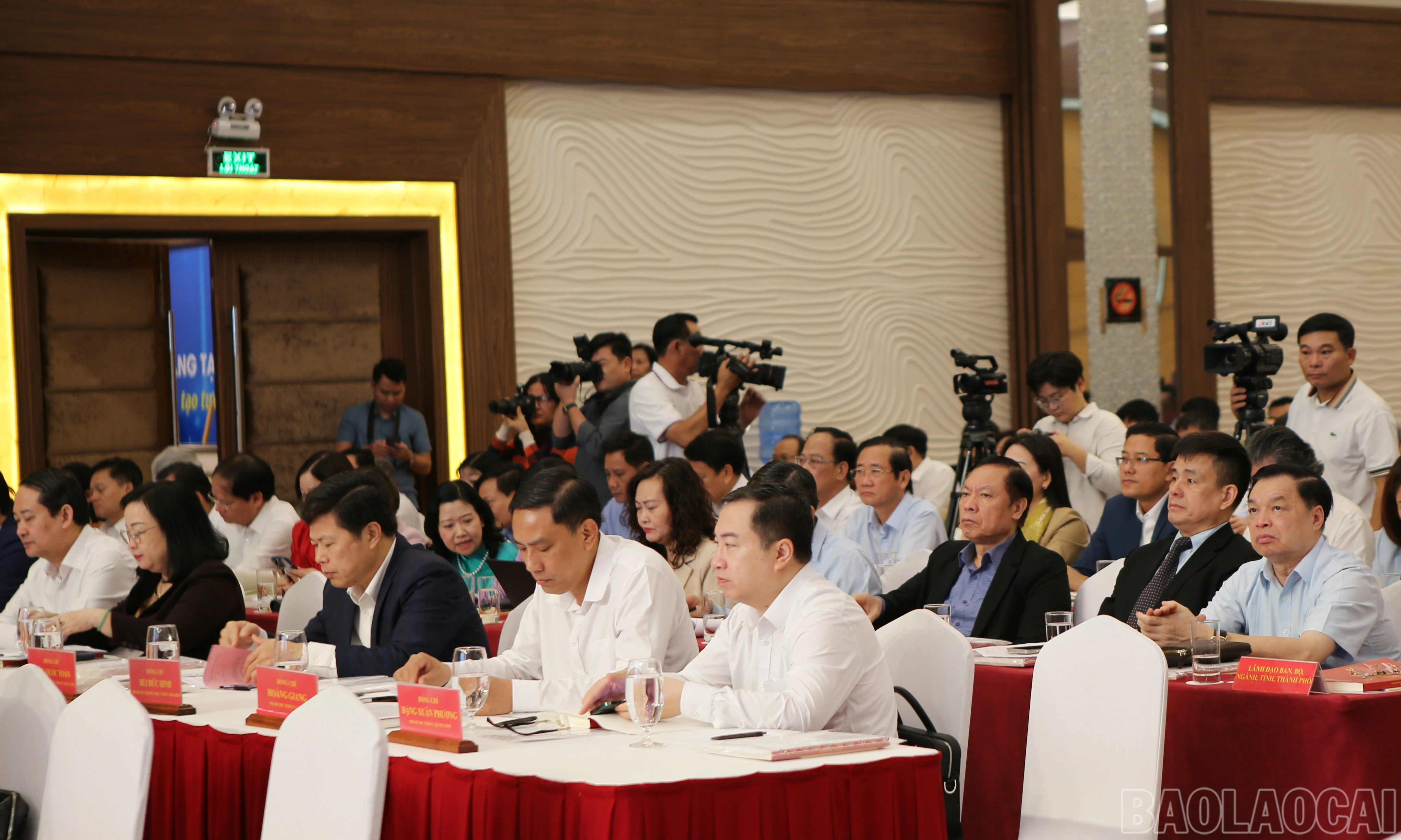 baolaocai-br_btg-3.jpg