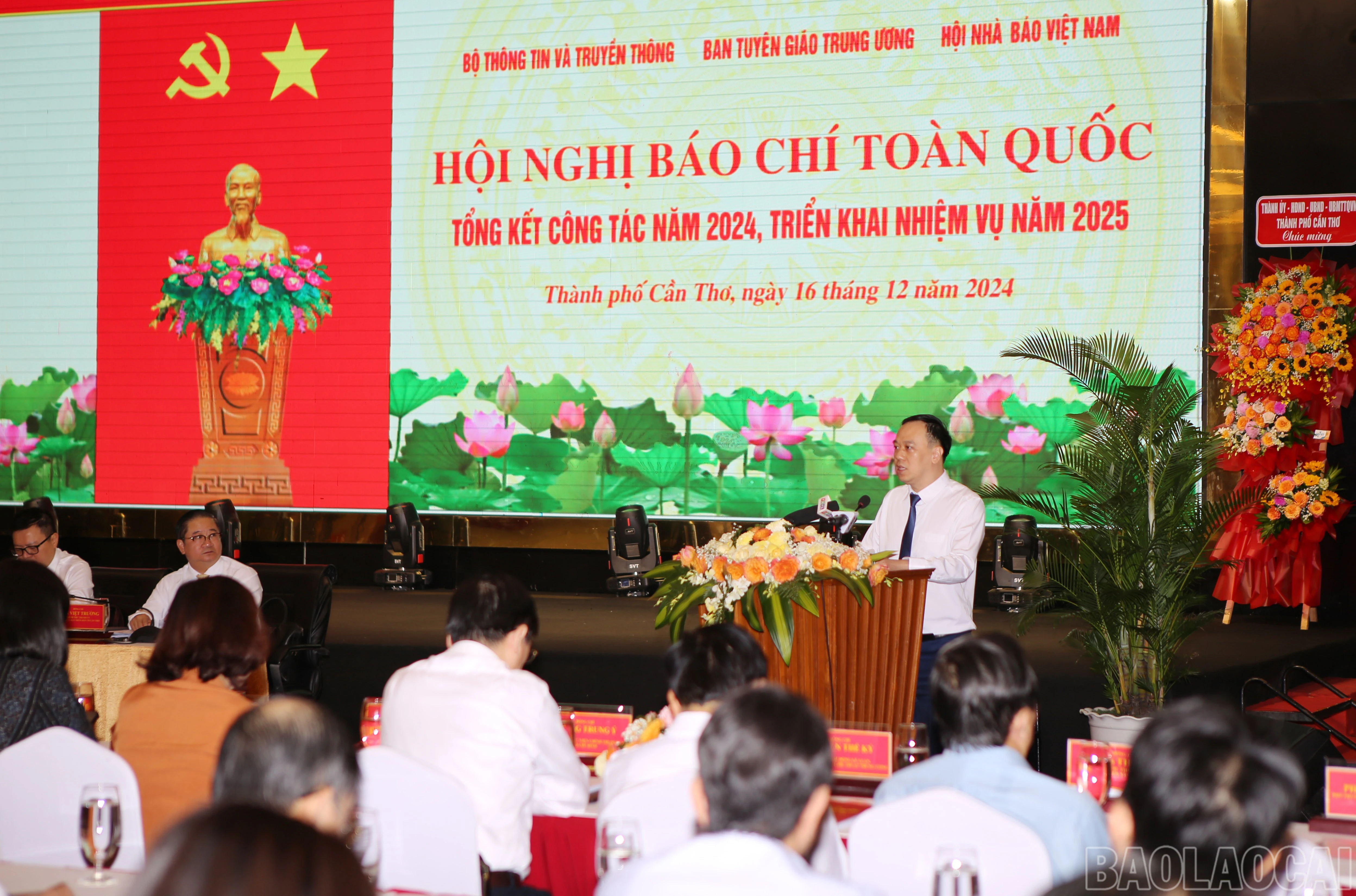 baolaocai-br_bs-9.jpg