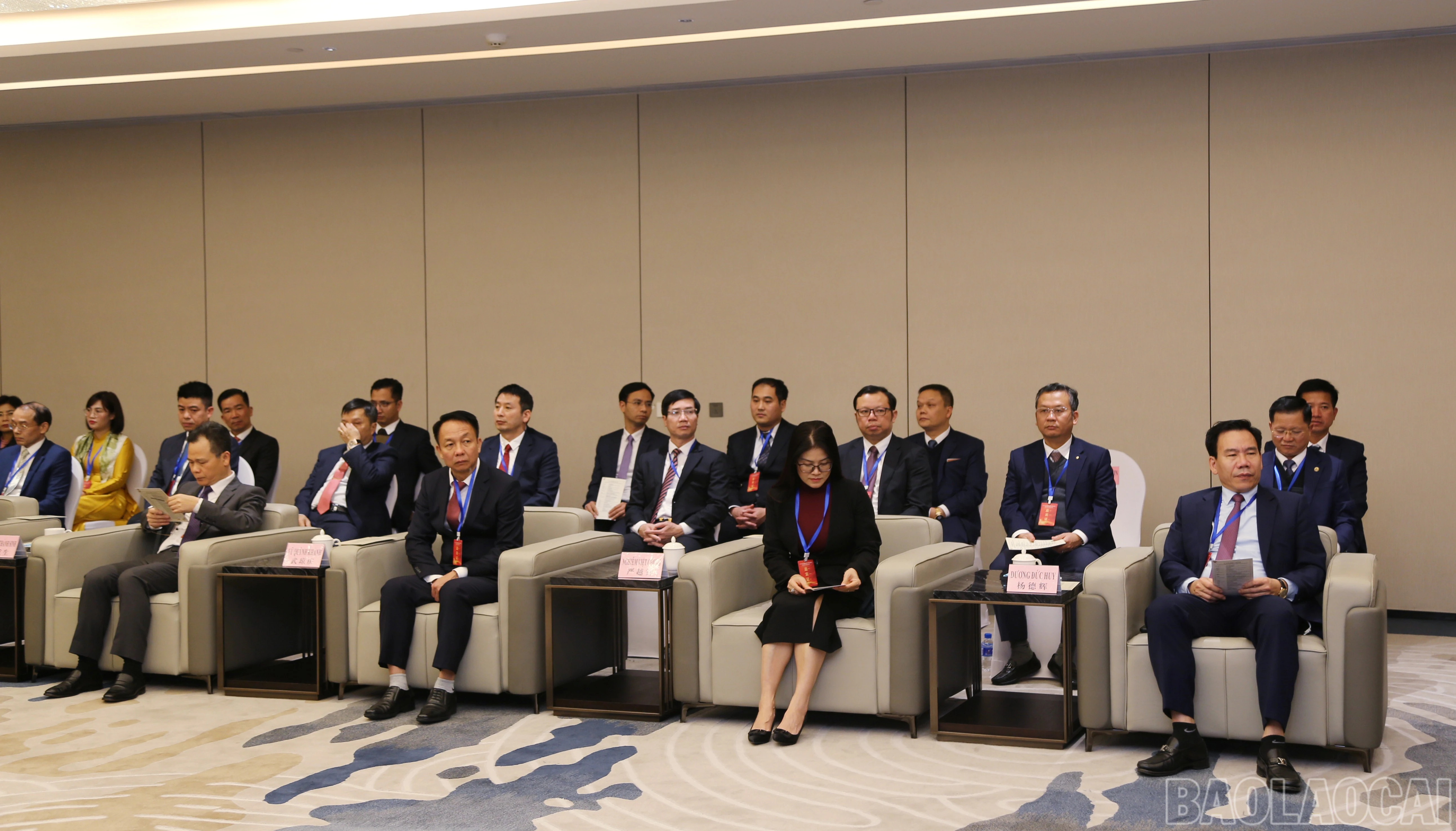 baolaocai-br_a-6.jpg