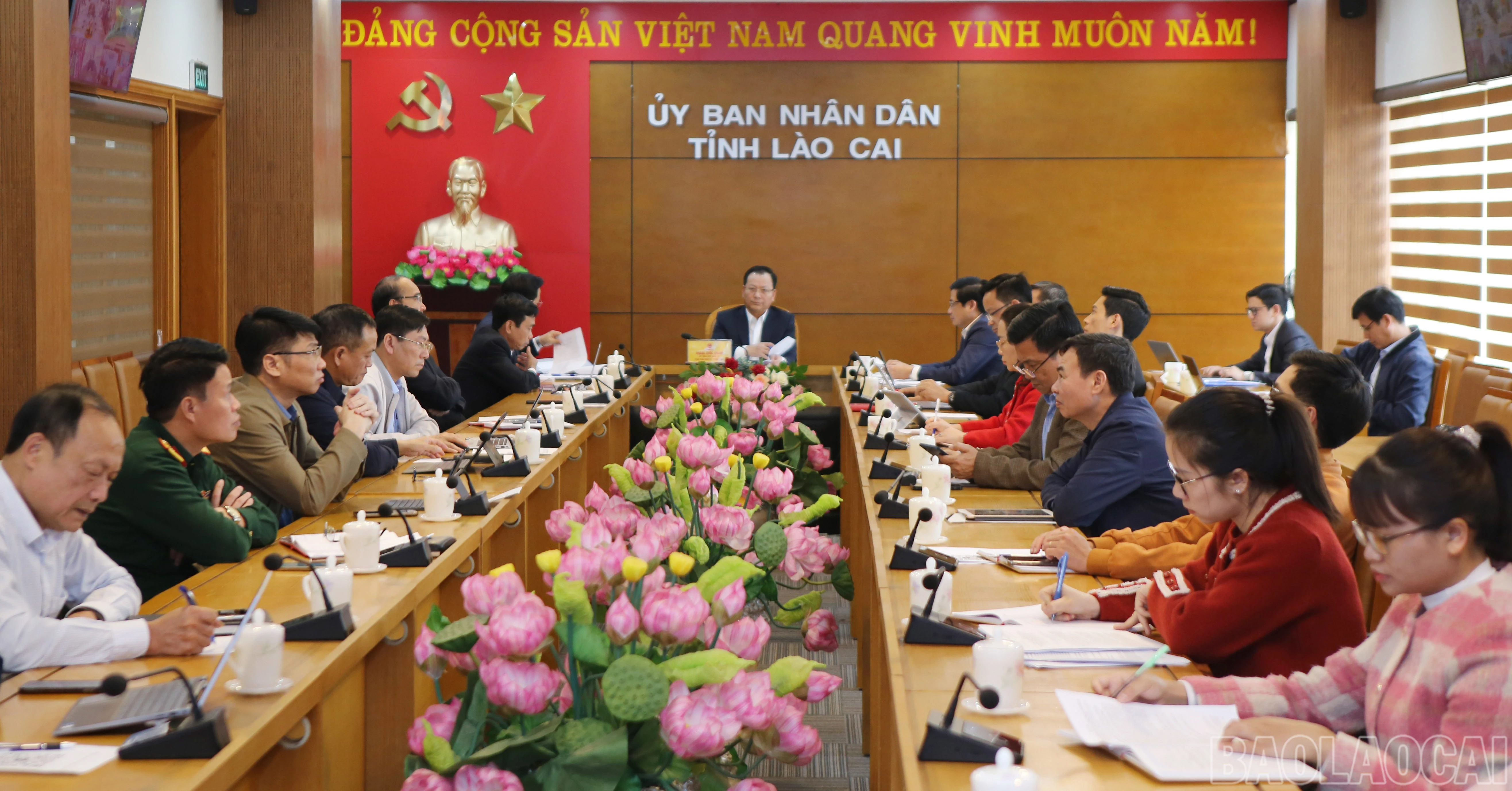 baolaocai-br_1.jpg