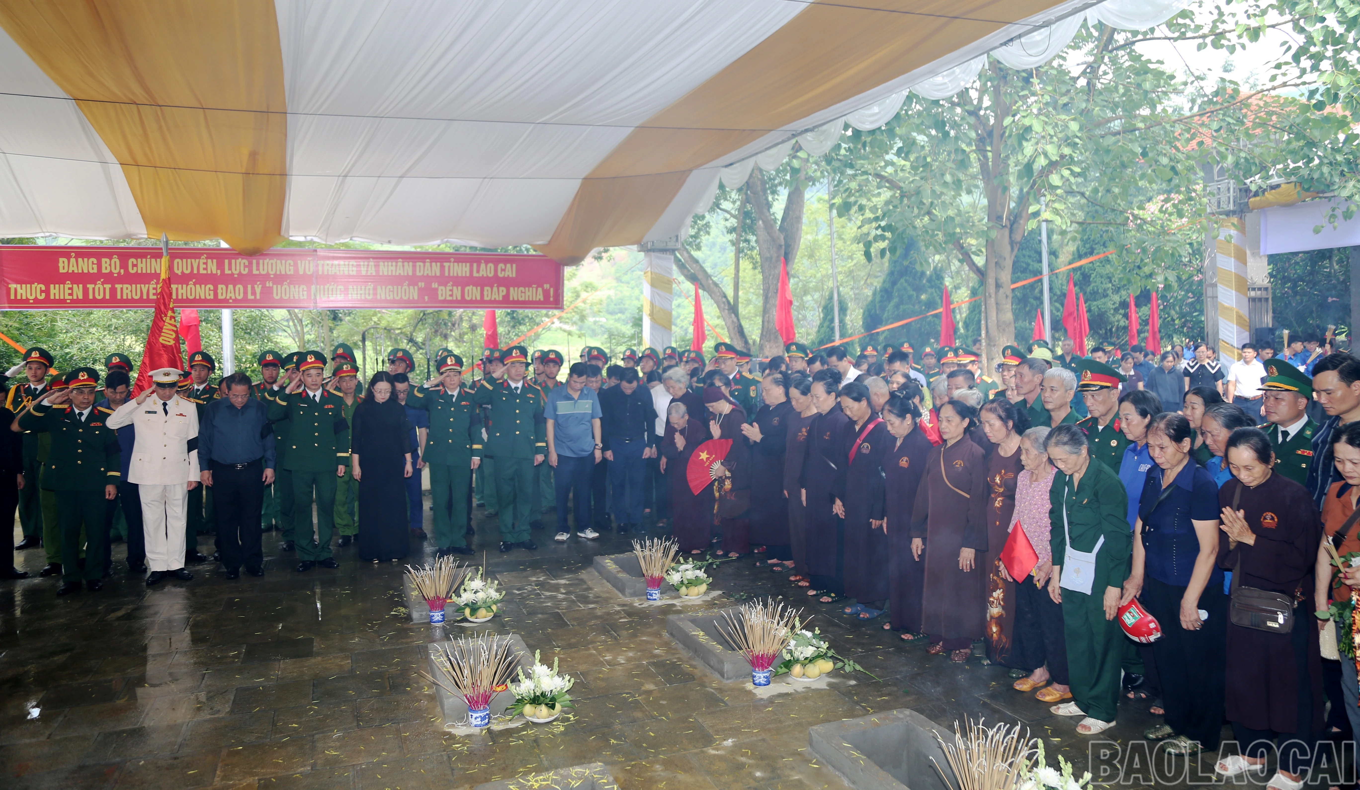 baolaocai-br_40.jpg