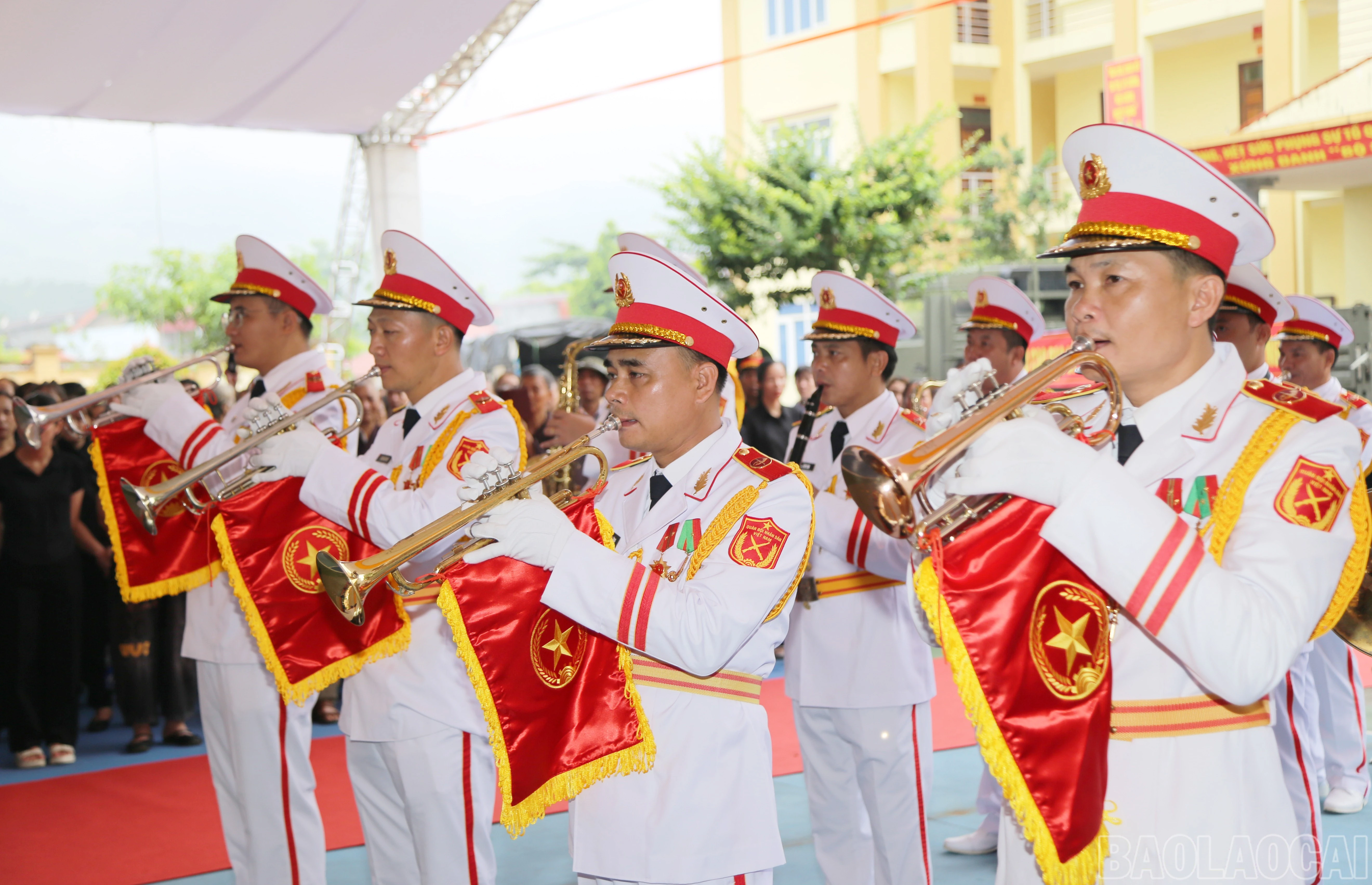 baolaocai-br_11.jpg