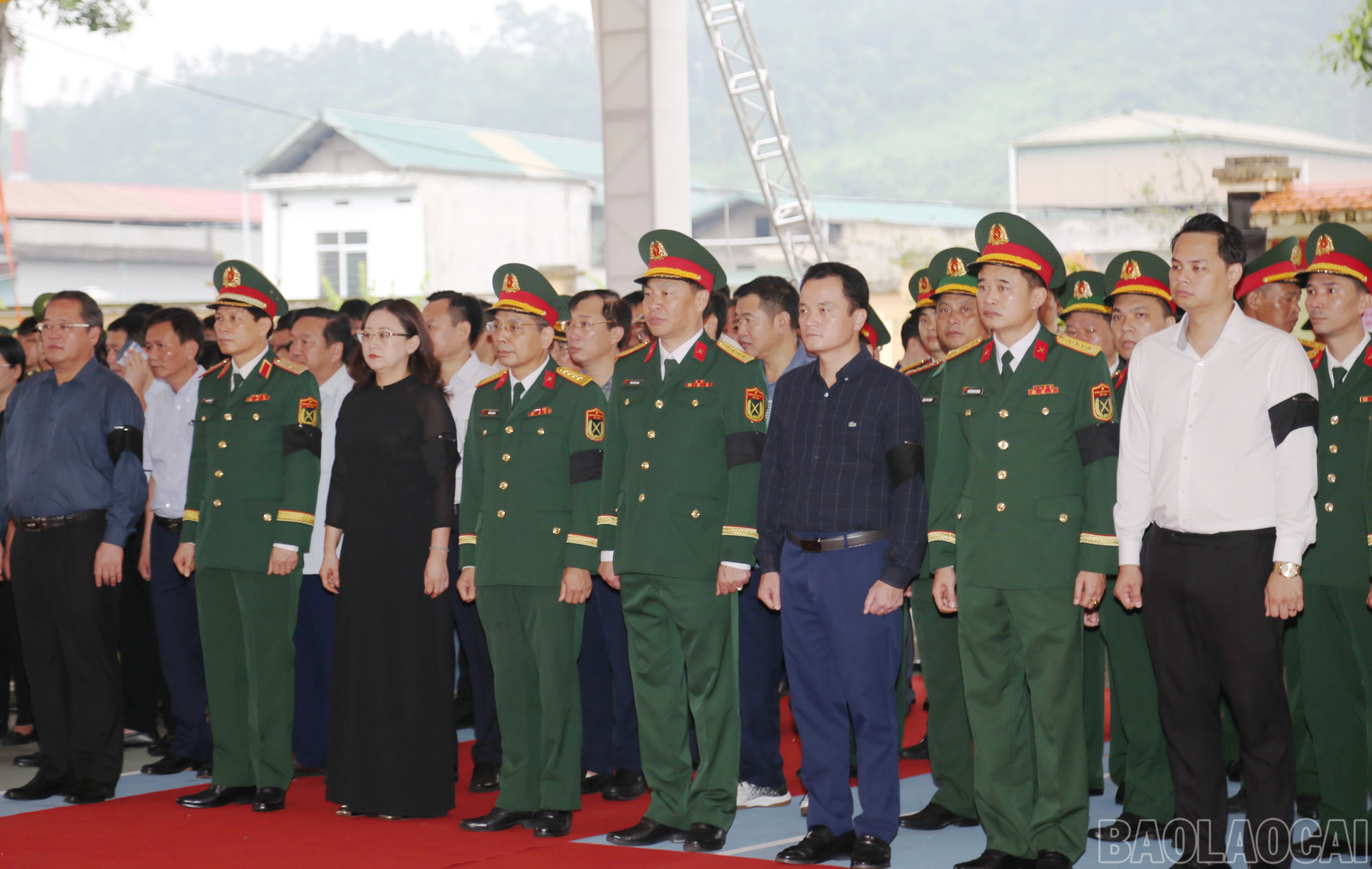 baolaocai-br_6.jpg