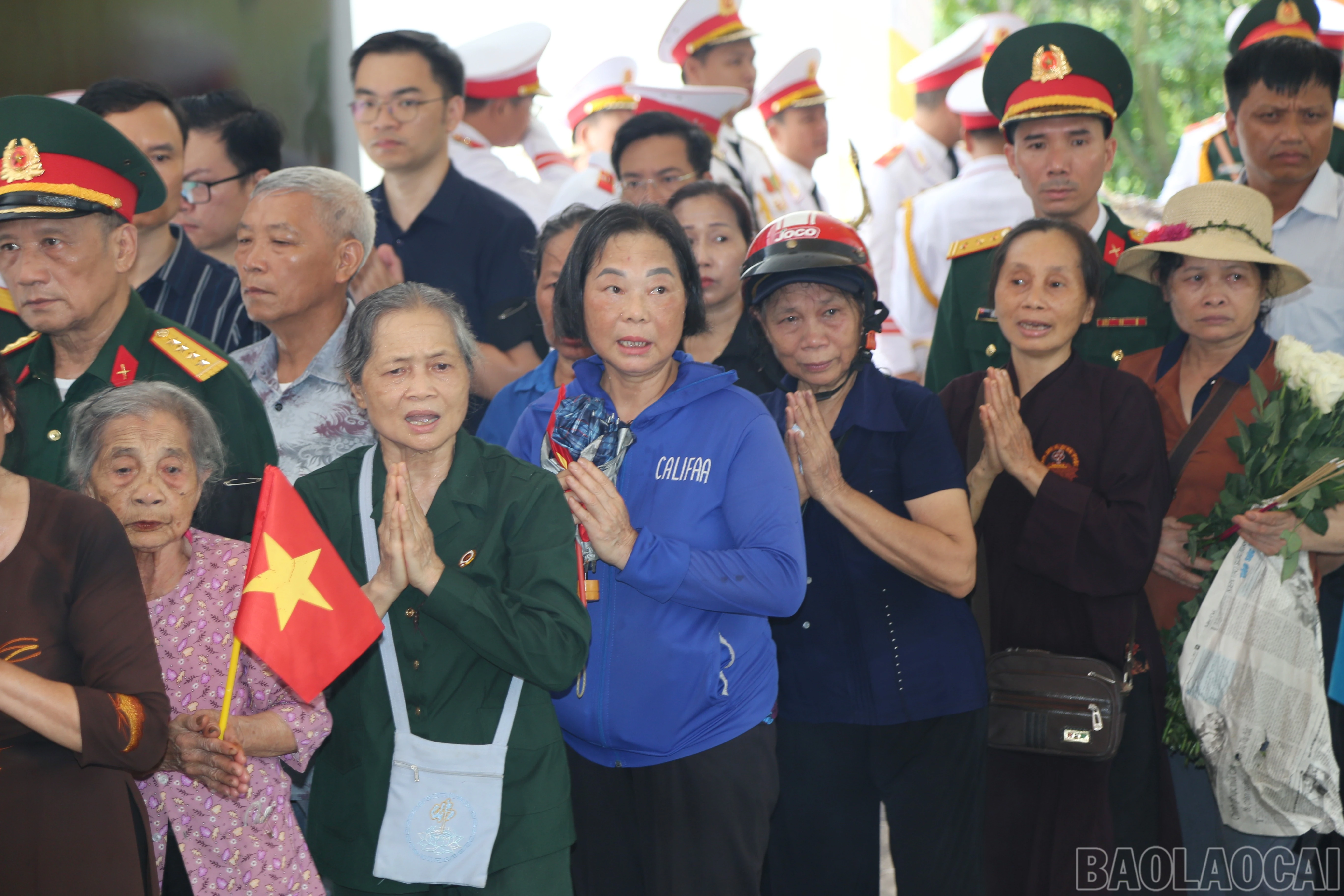 baolaocai-br_42.jpg