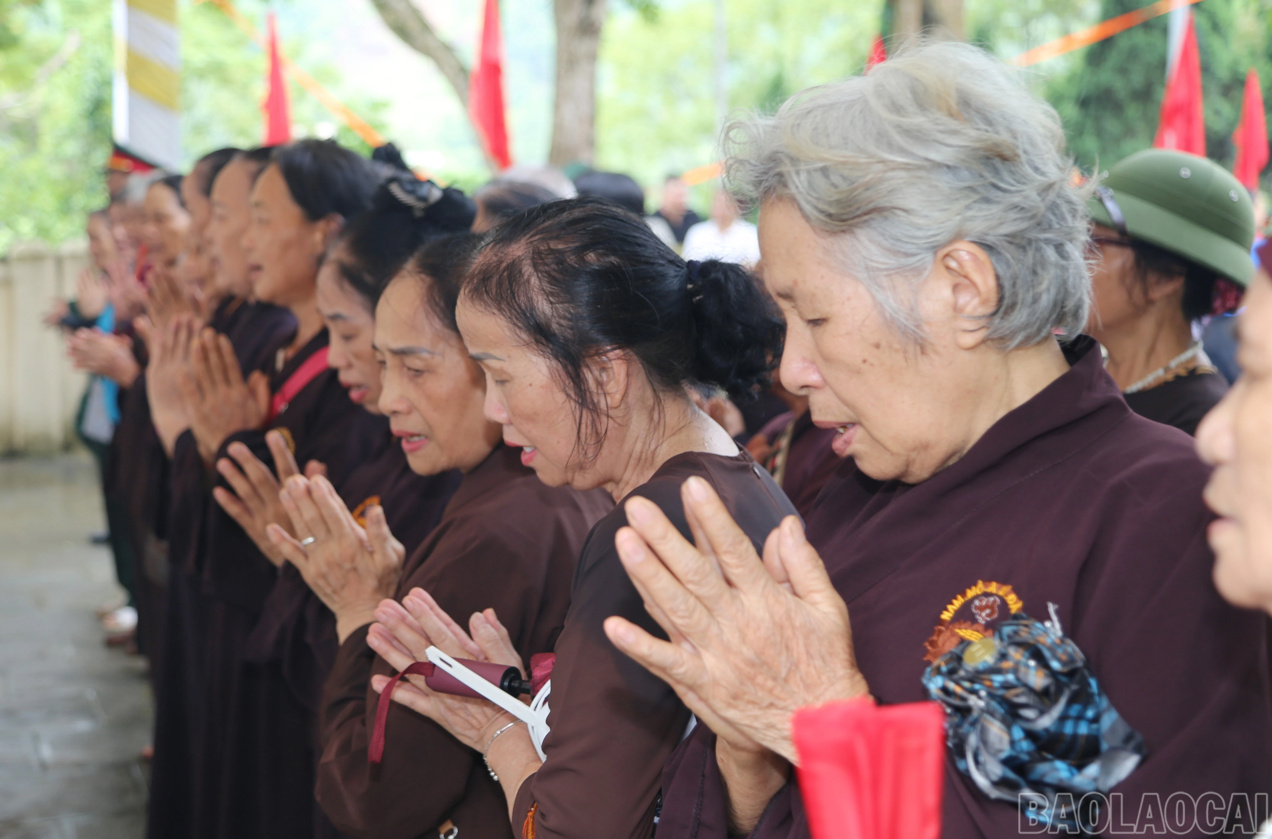 baolaocai-br_44.jpg