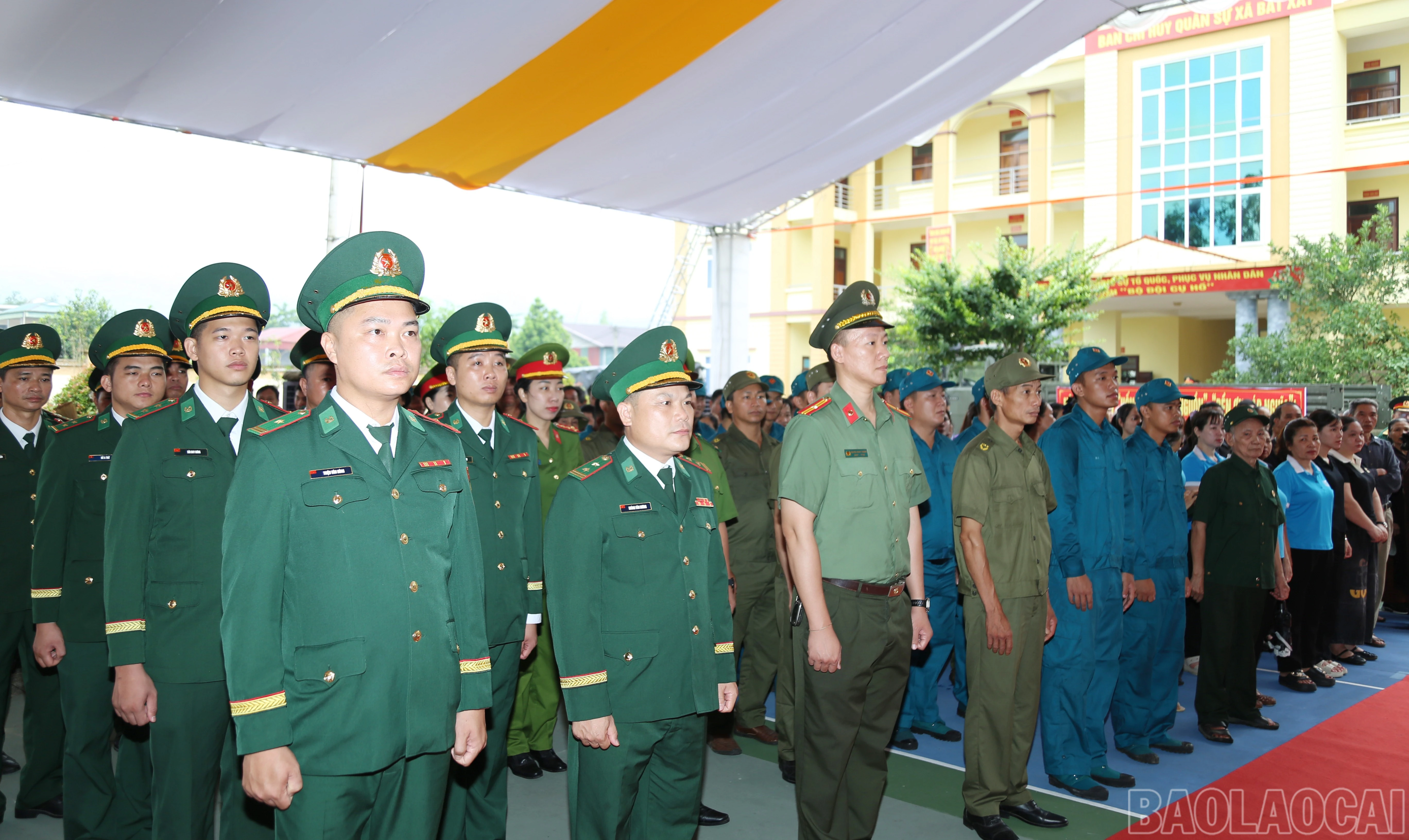 baolaocai-br_5.jpg