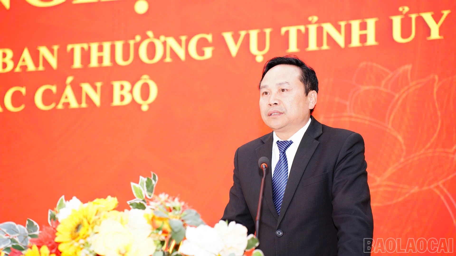 baolaocai-br_3.jpg