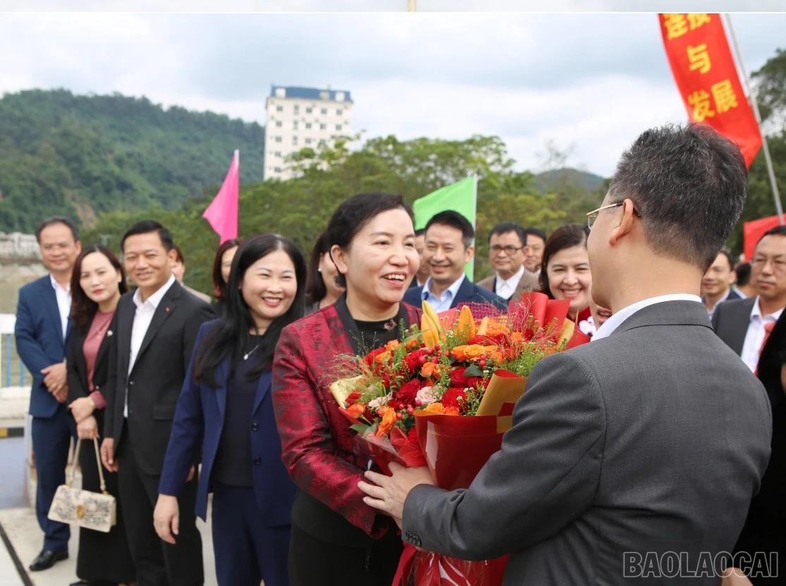 baolaocai-br_a-3.jpg