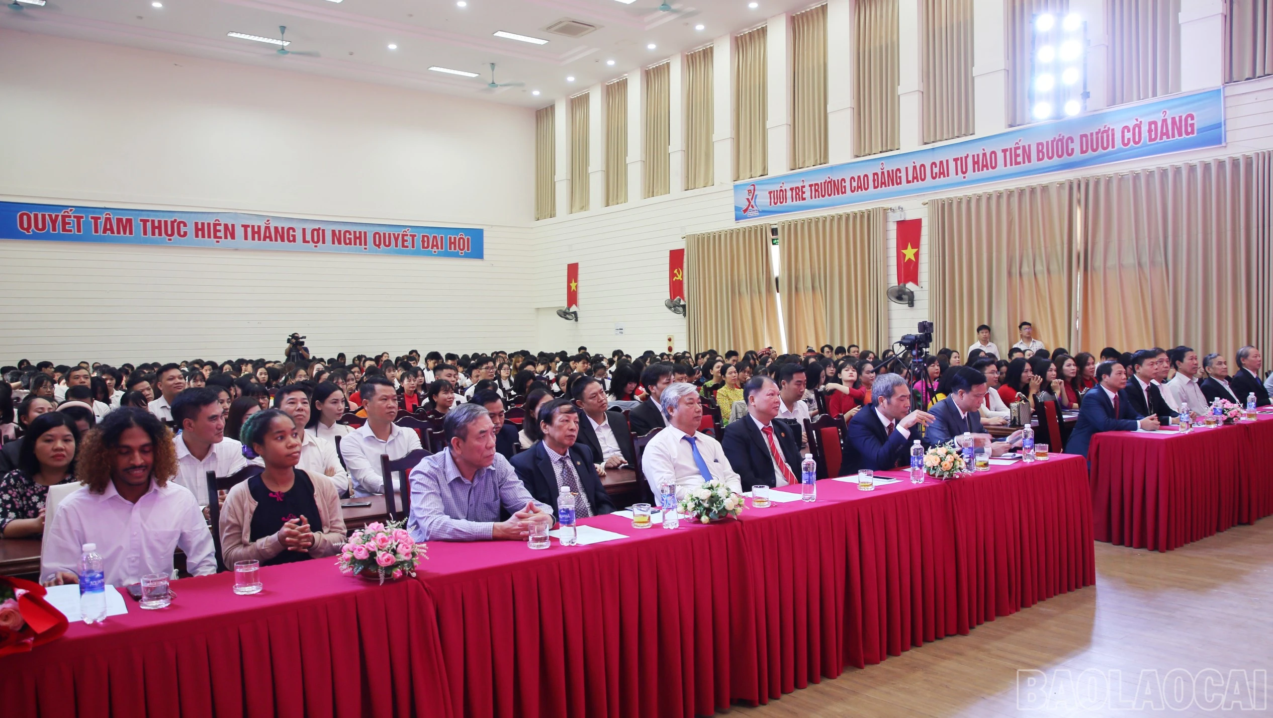 baolaocai-br_cd-1.jpg