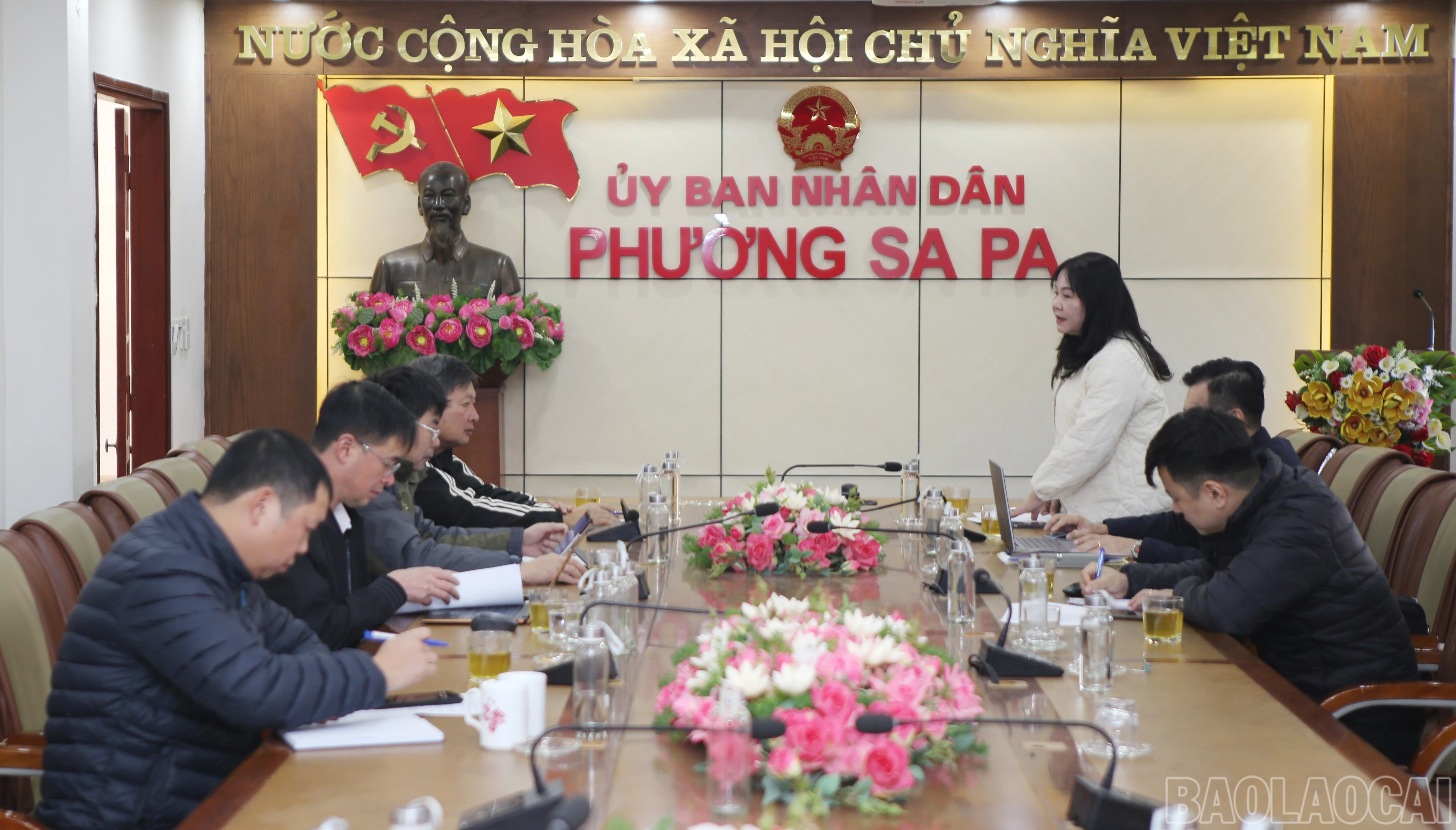 baolaocai-br_a-1.jpg