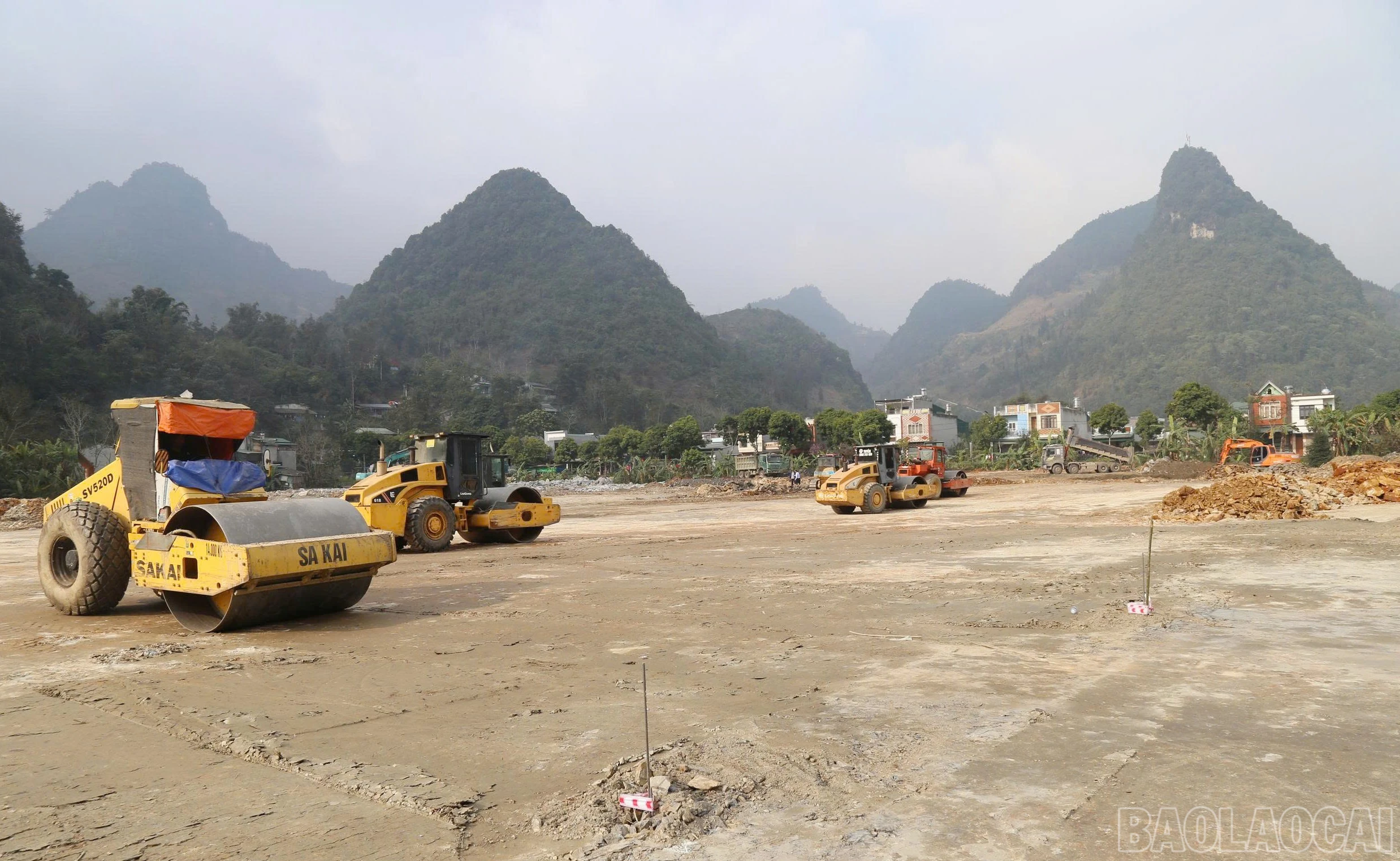 baolaocai-br_a-5.jpg